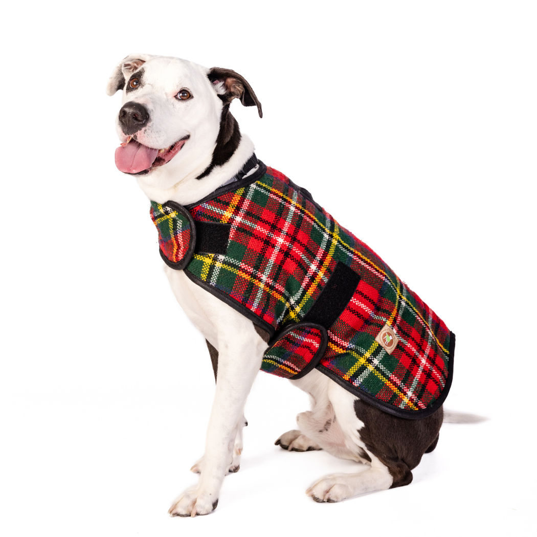 CHILLY DOG LLC - Scotty Plaid Dog Blanket Coat