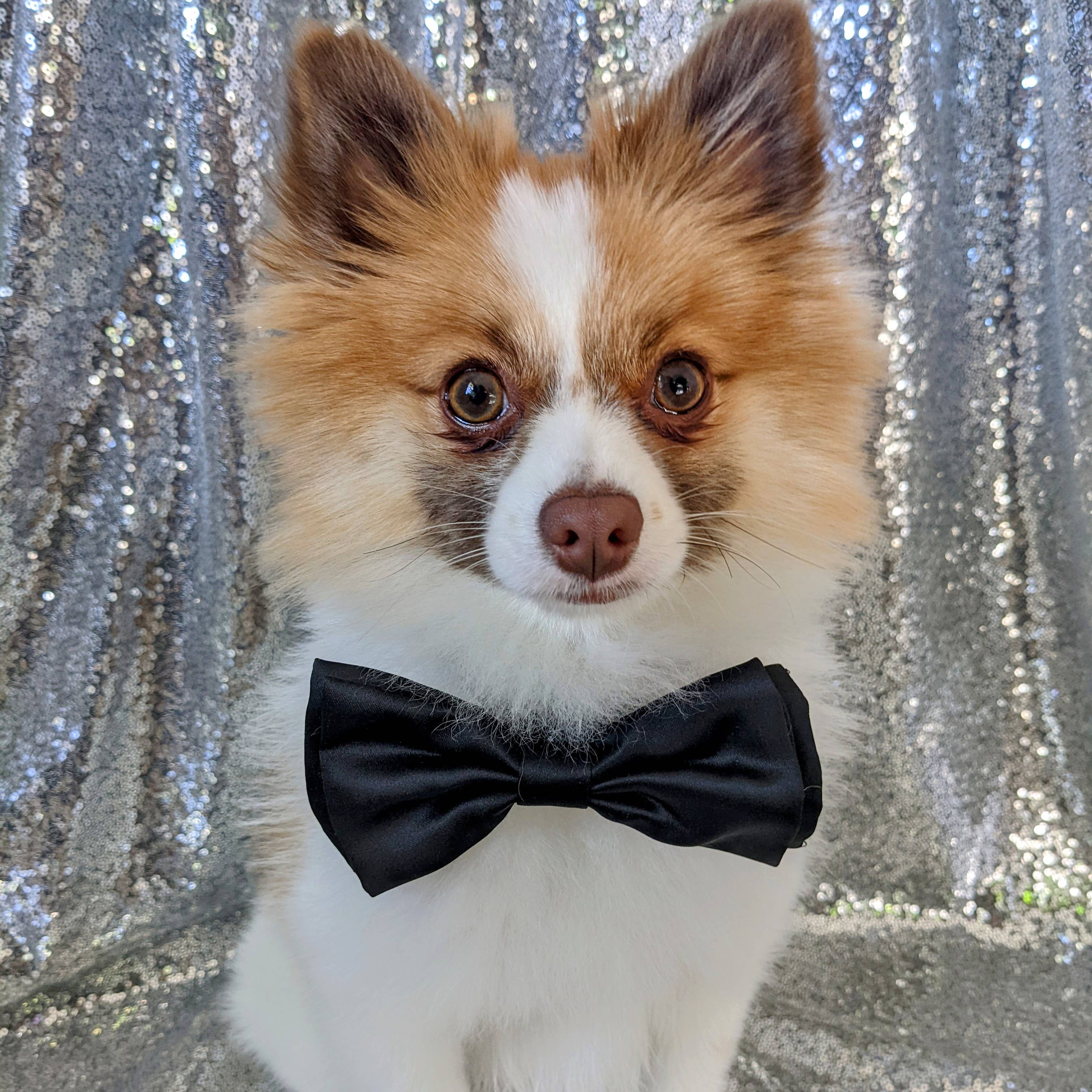 Bow Tie Black Satin