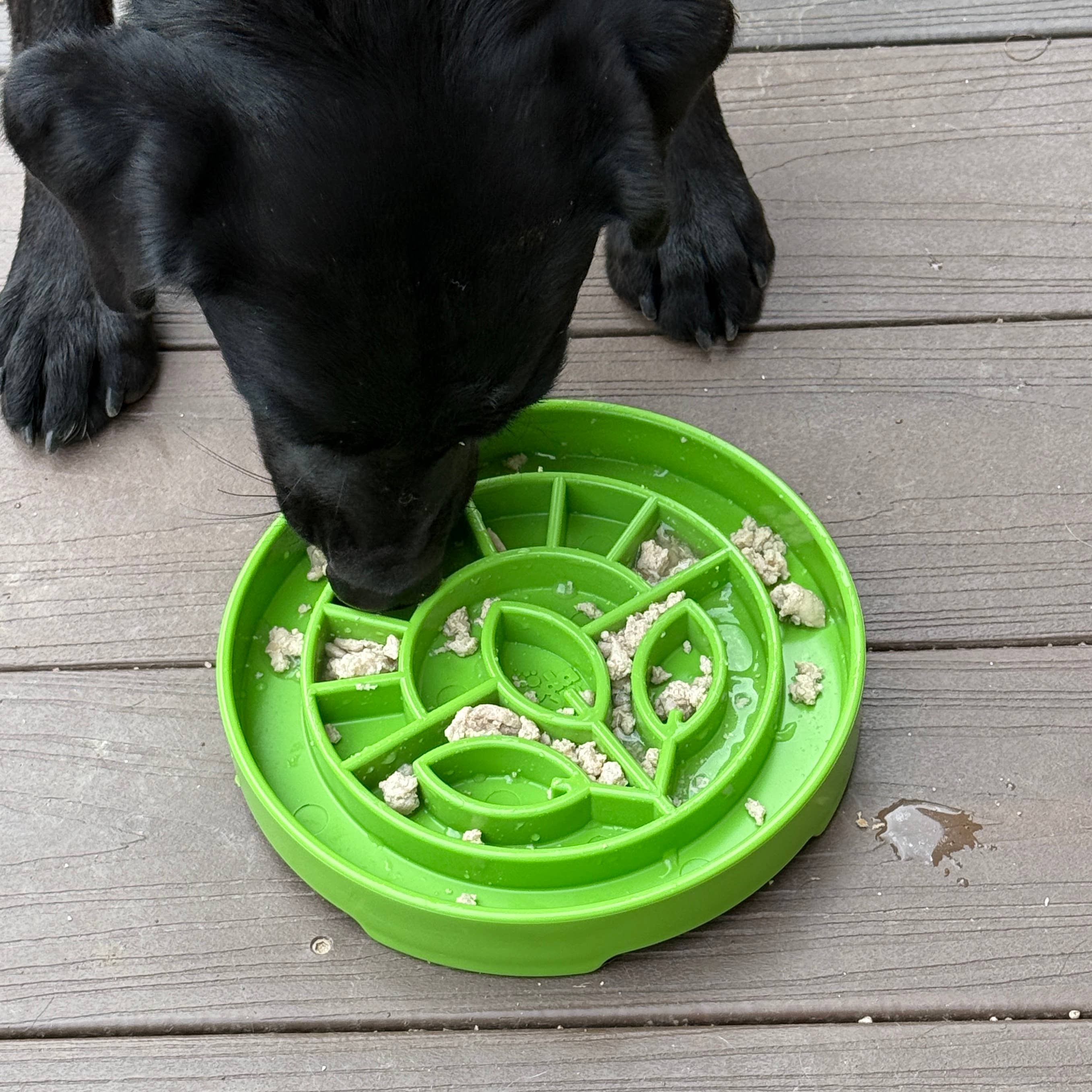 SodaPup Garden Design eTray Enrichment Slow Feeder Tray for Dogs - Apple Green
