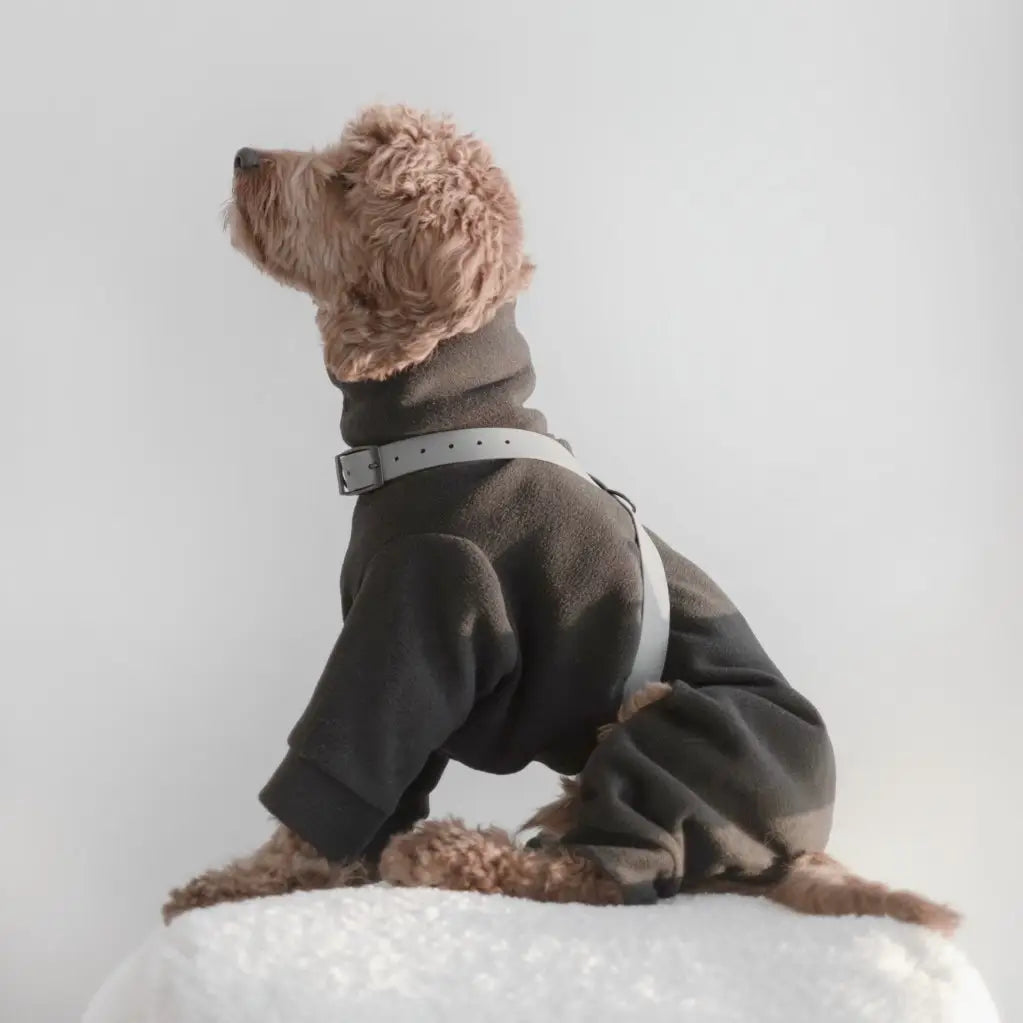 Lambwolf Collective - OTTO | figure 8 waterproof harness for dogs and cats