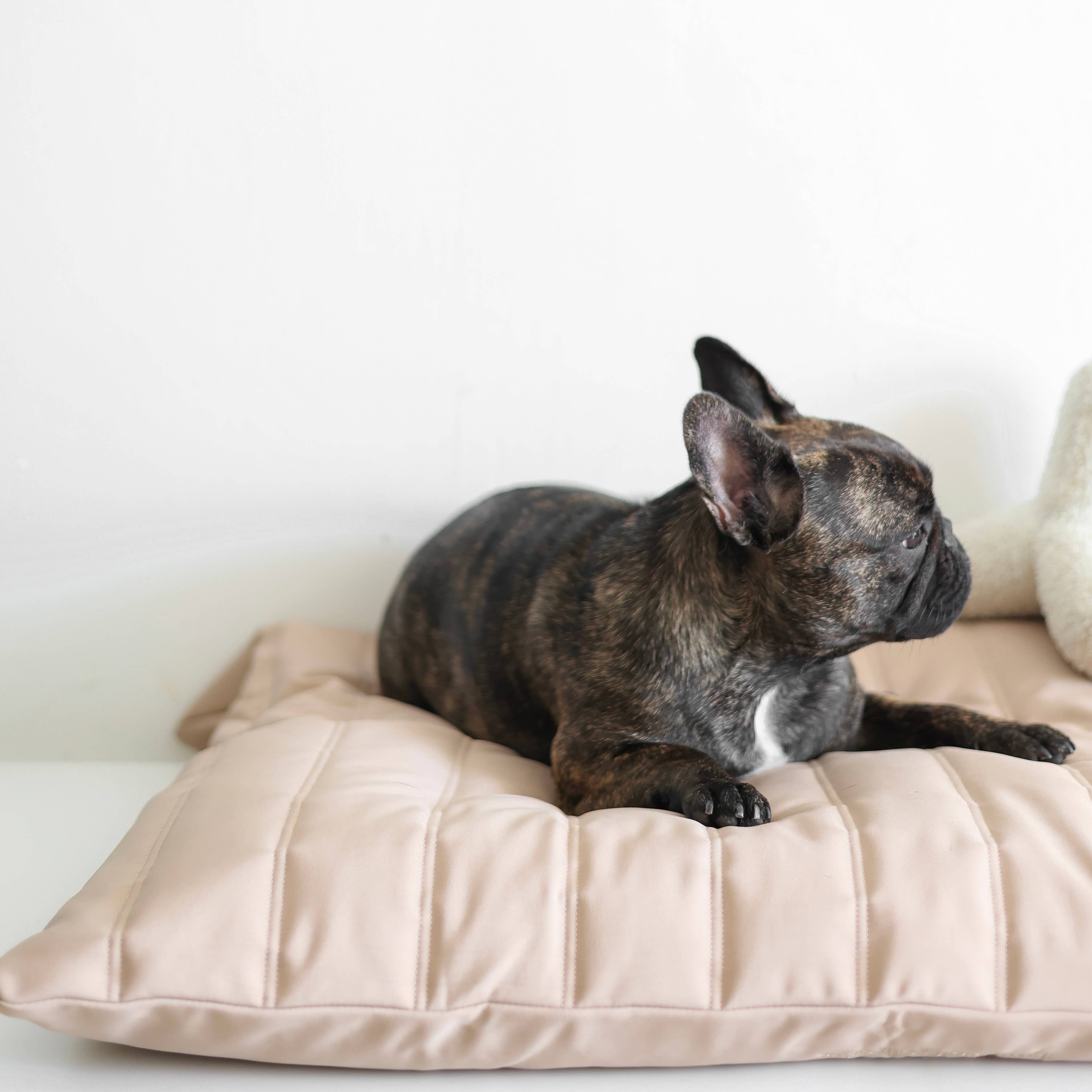 MAATIN | PET BED//DOG BED: Small / Fern