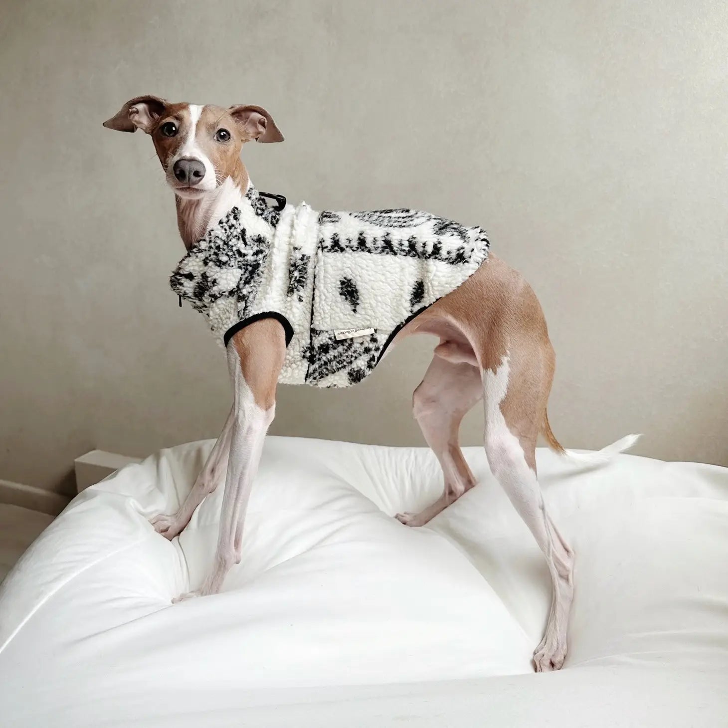 Lambwolf Collective - Camper//Dog Clothing