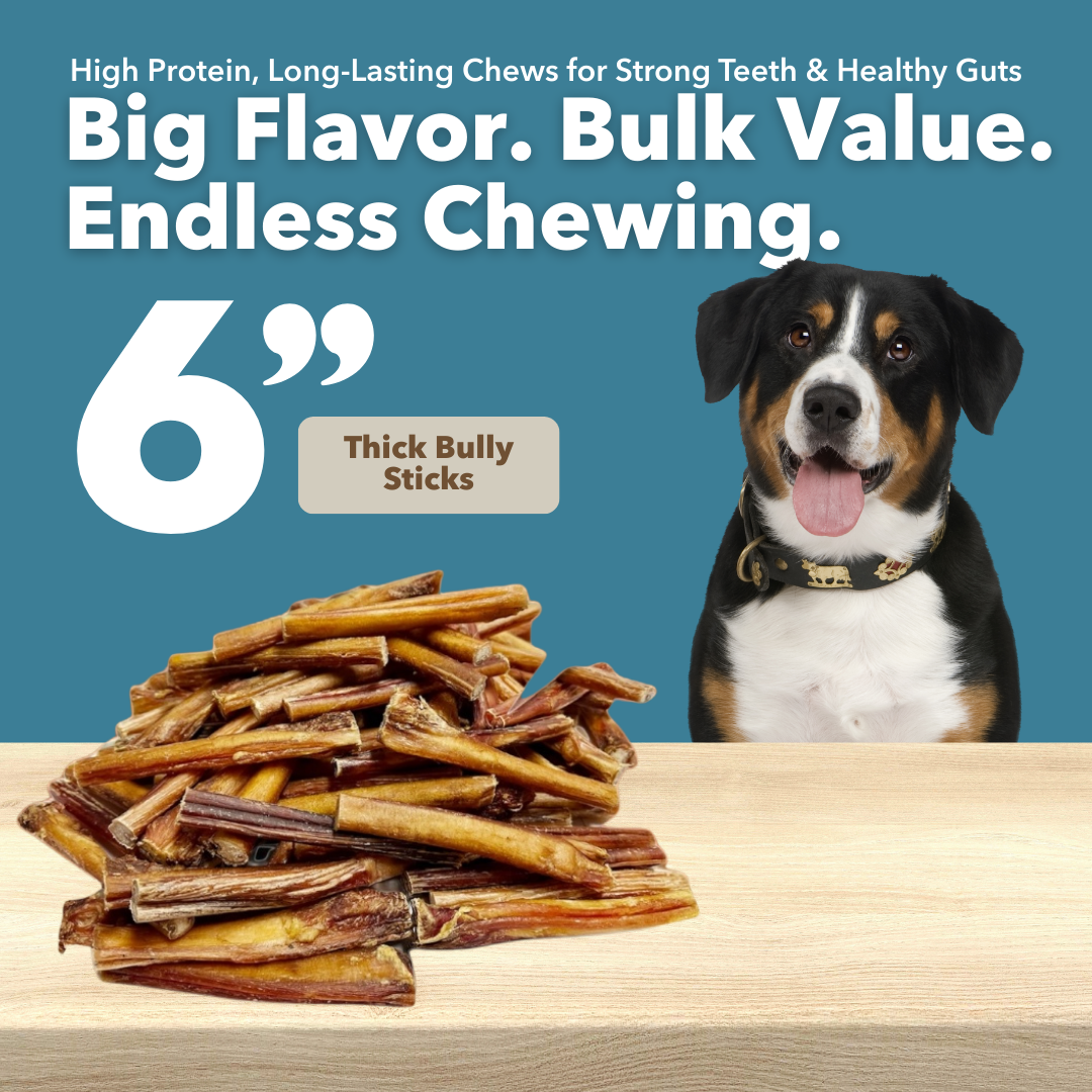Mighty Chewz - 6" Thick Bully Sticks