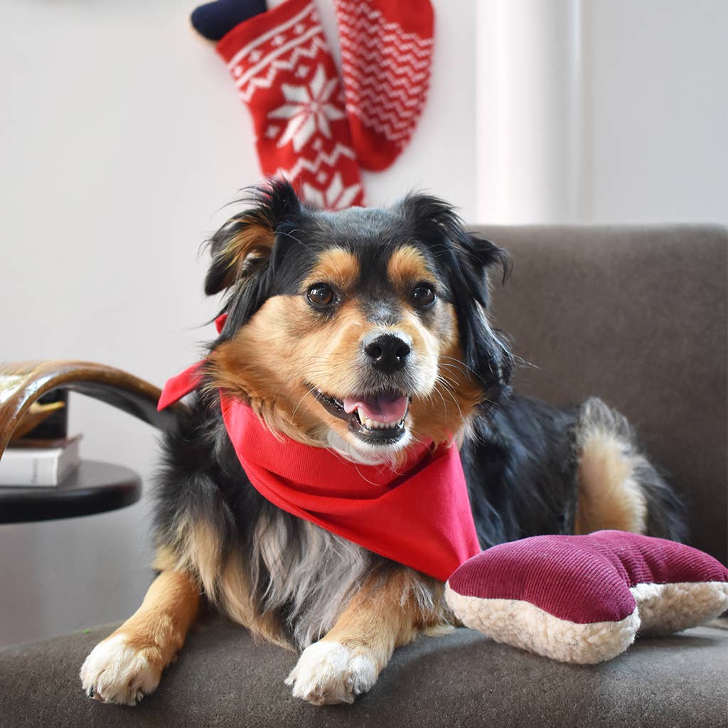 HOLIDAY LAVENDER ZENBONE: RED PLAID