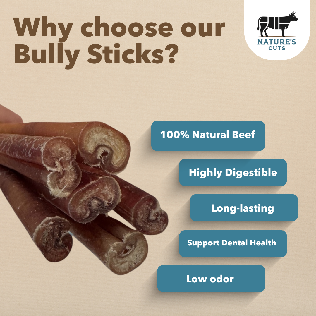 Mighty Chewz - 6" Thick Bully Sticks