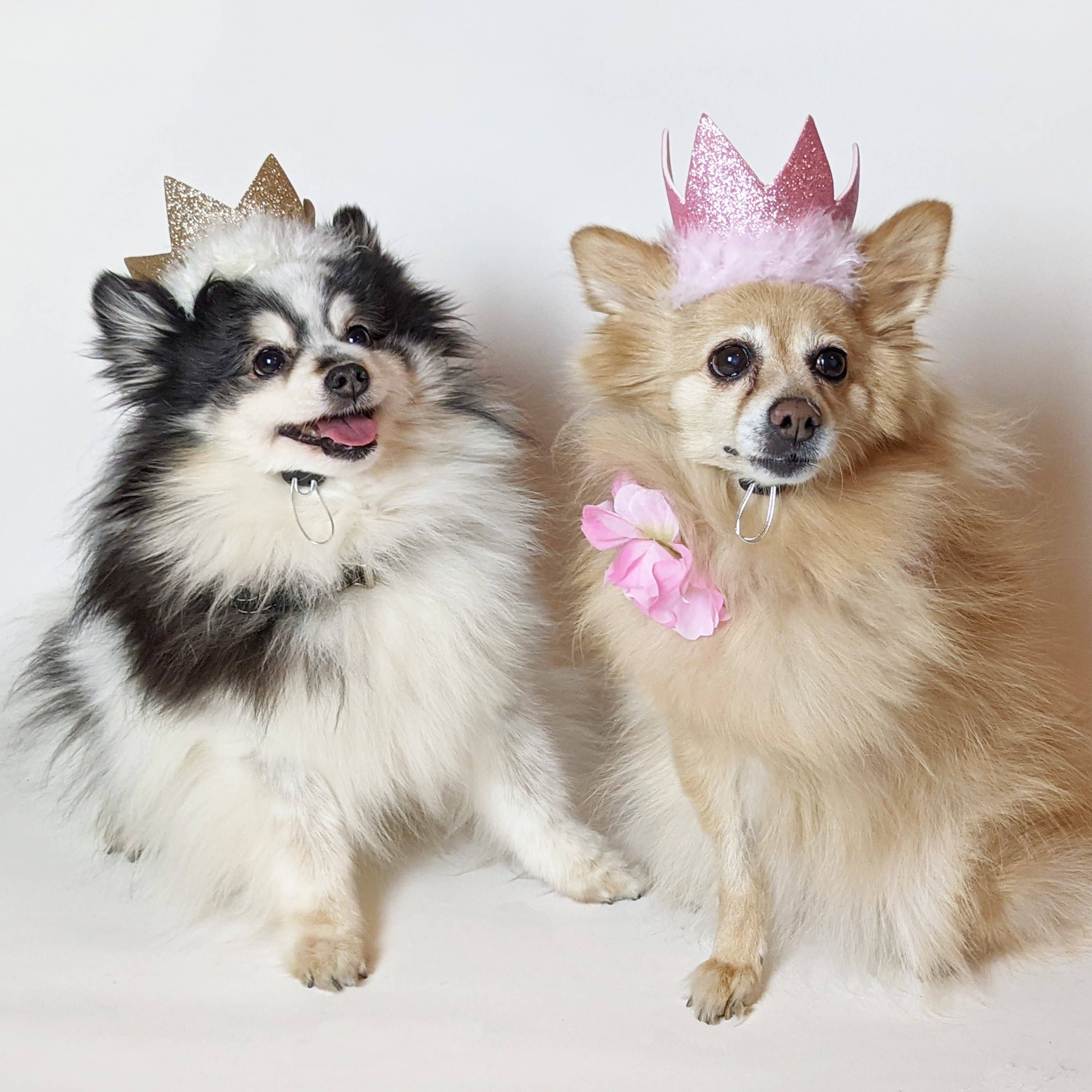 Party Crown Gold with SnugFit®