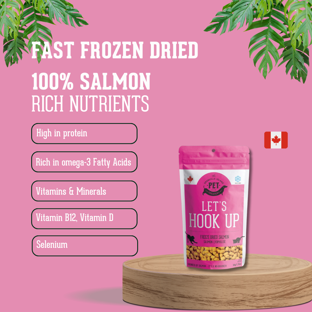Freeze Dried Wild Salmon Treat For Dogs 50g