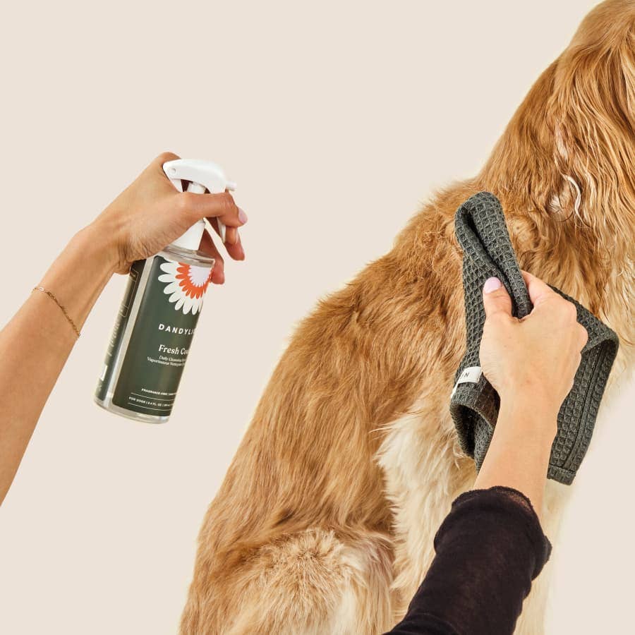 Dandylion - Fresh Coat Daily Cleansing Spray | Waterless No-Rinse Shampoo