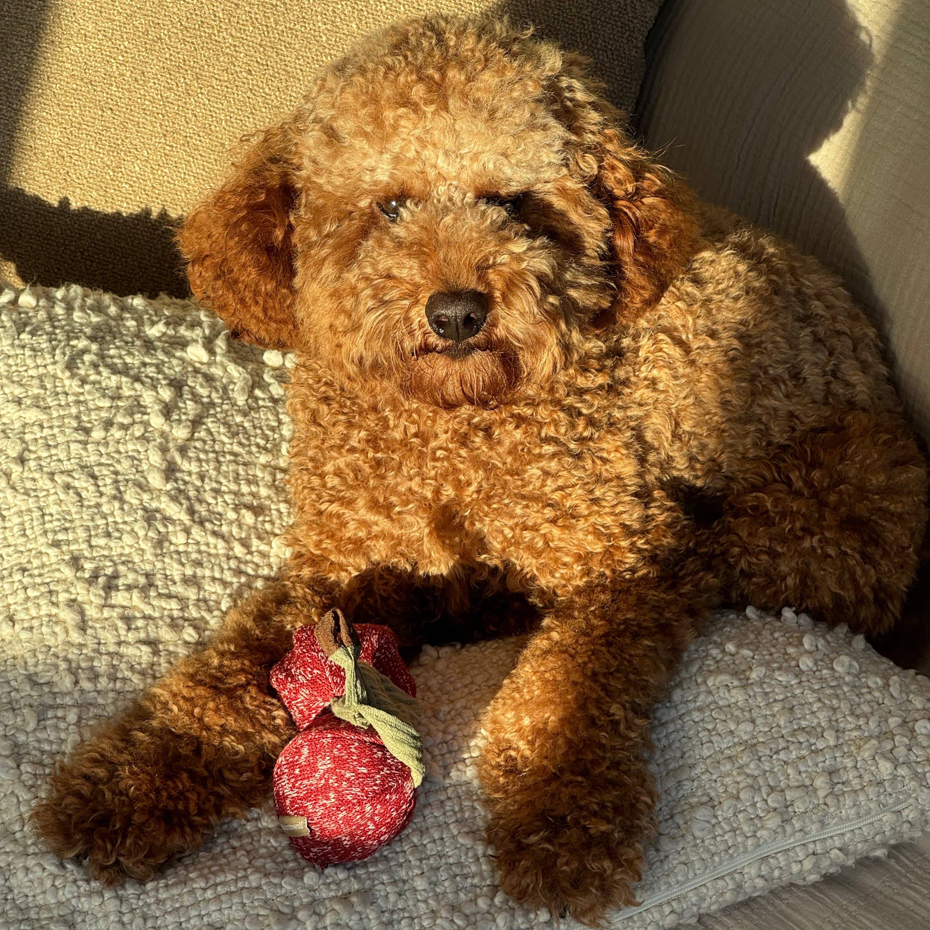 Lambwolf Collective Cherry Pop Enrichment Dog Toy