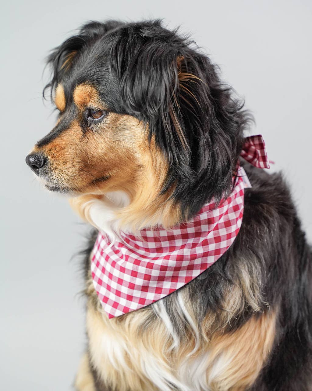 WINTER BANDANAS: BERRY GINGHAM