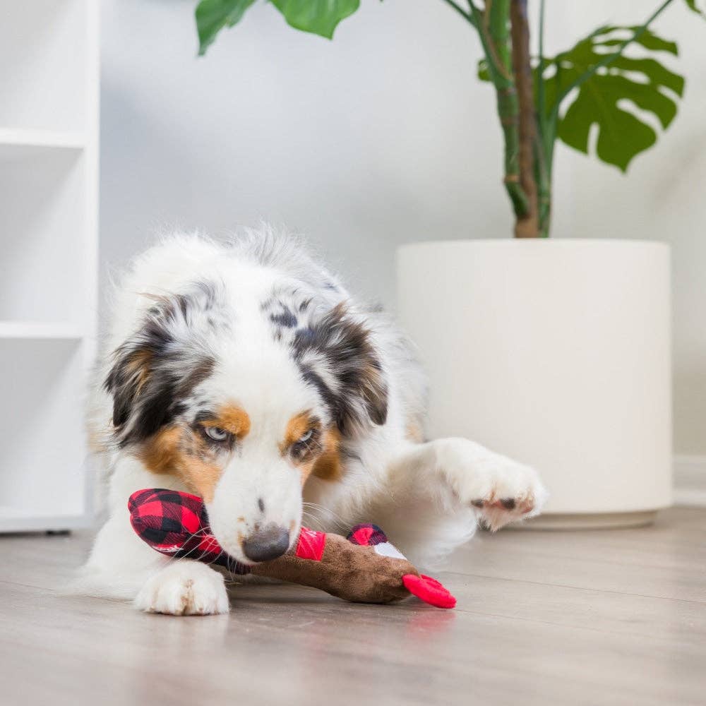 Reindeer Bone