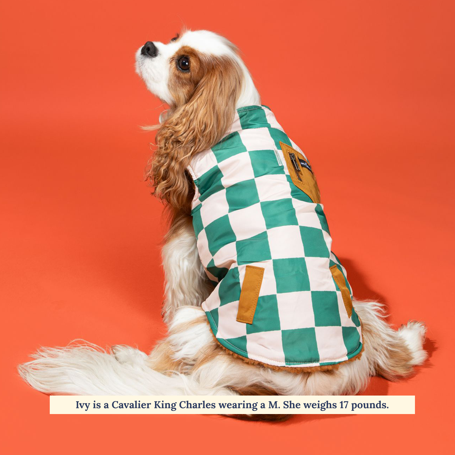 The You're a Square Reversible Teddy Vest: 2XL