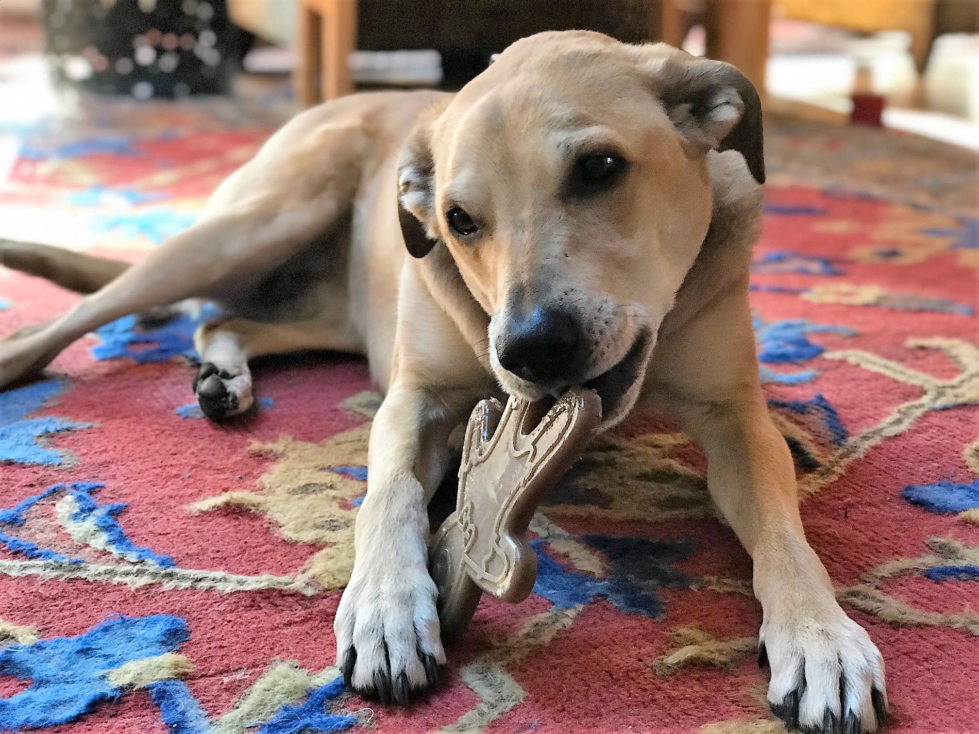 SP Nylon Gingerbread Man Chew Toy - Medium/Large - Brown