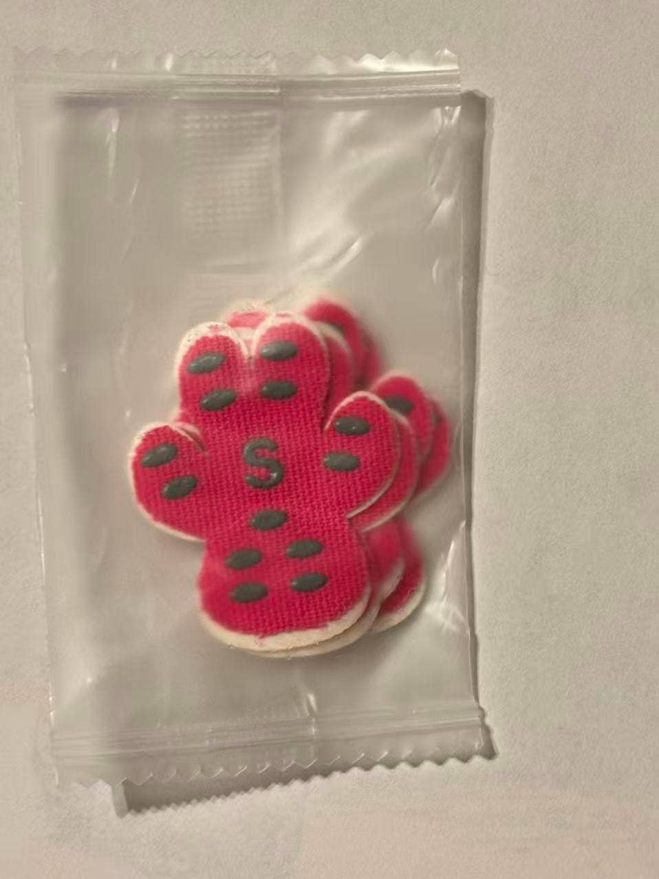 BRIGHT IRIS - Silicone Dog Paw Protector
