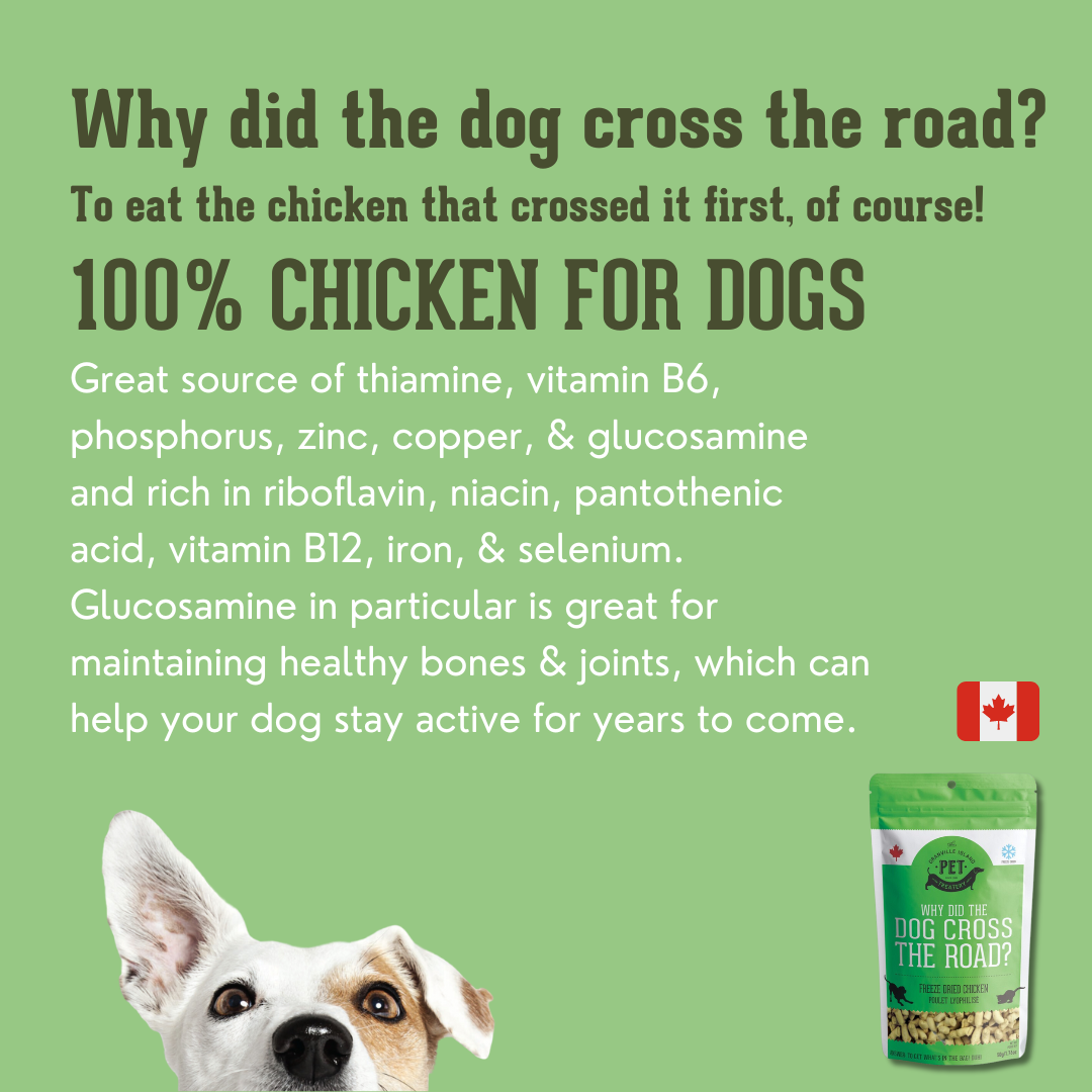 Freeze Dried Chicken Treat For Dogs 50g
