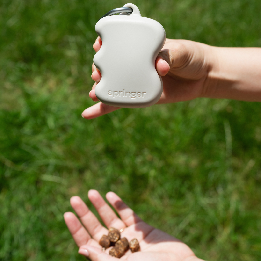 Springland Pets - Silicone Dog Treat Dispenser