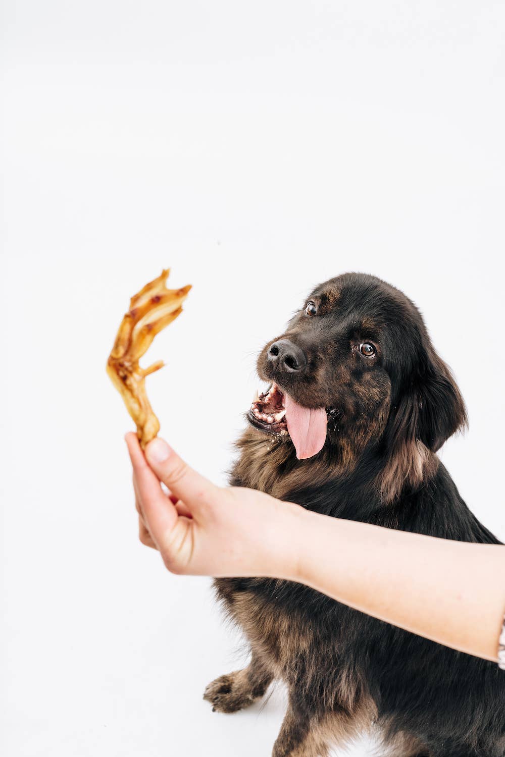 Duck Feet Single-Ingredient Chews