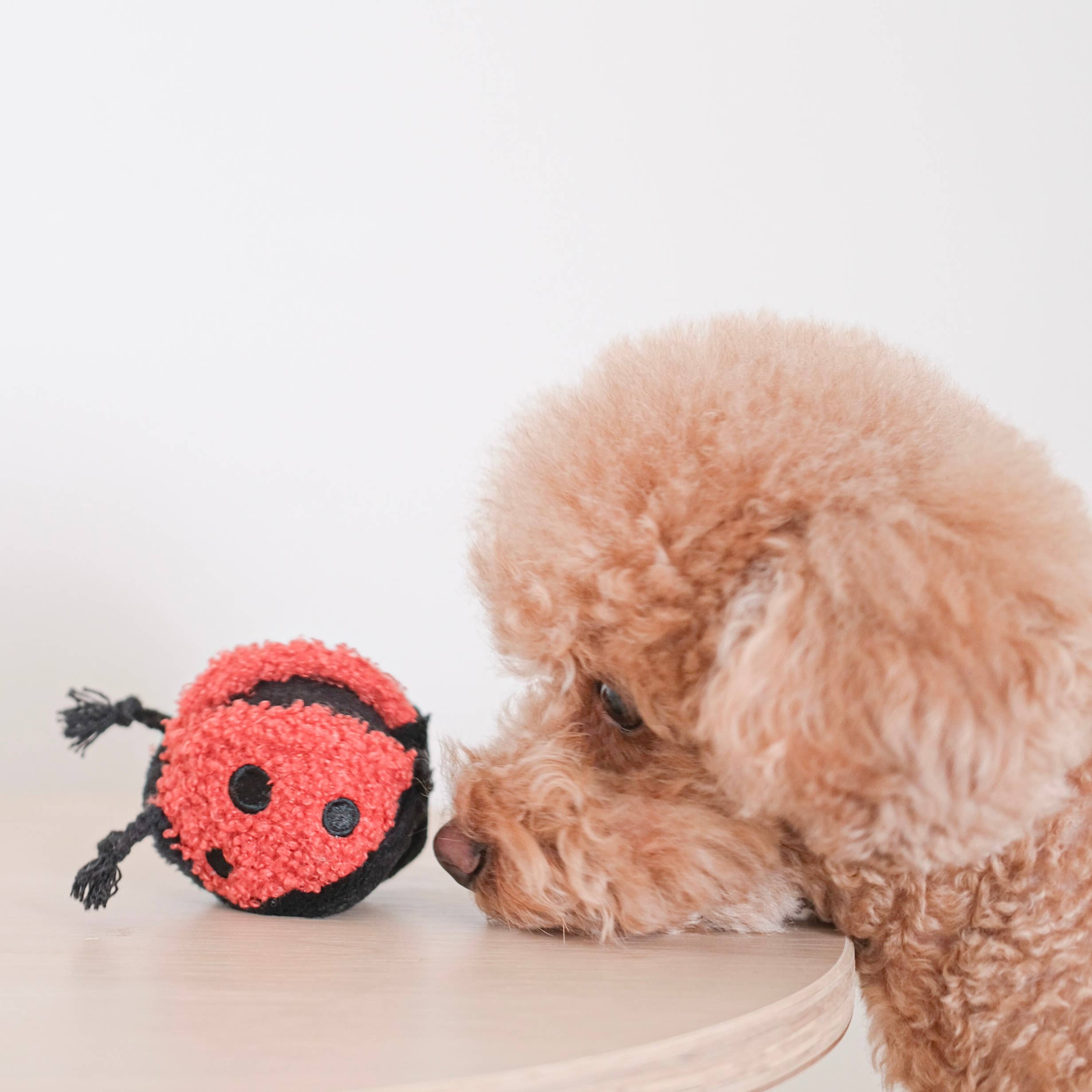 Lambwolf Collective - GARDEN SET // ENRICHMENT TOY SET// SNUFFLE TOY