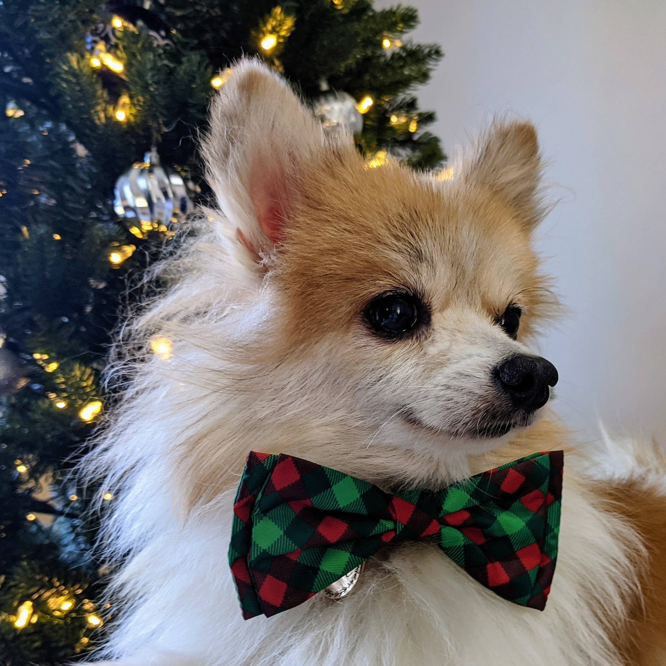 Bow Tie Scottish Check