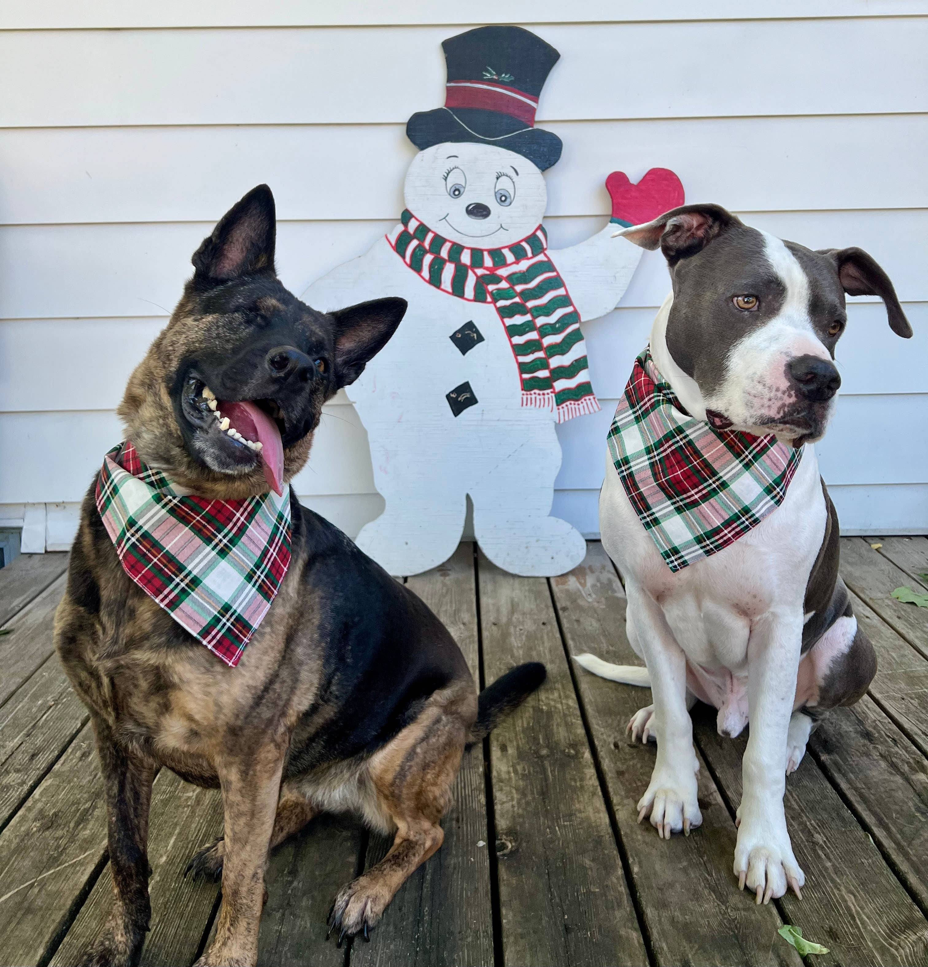 Christmas Plaid Dog Bandana