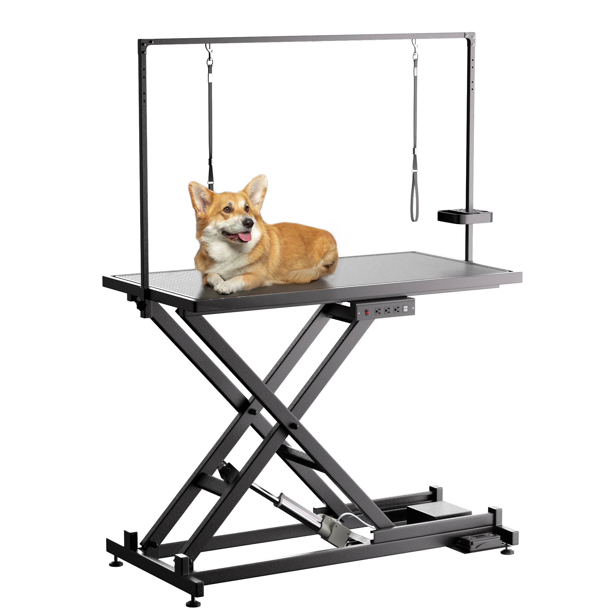 39F Inc. - 50" Electric Dog Grooming Table with Adjustable Height,Black