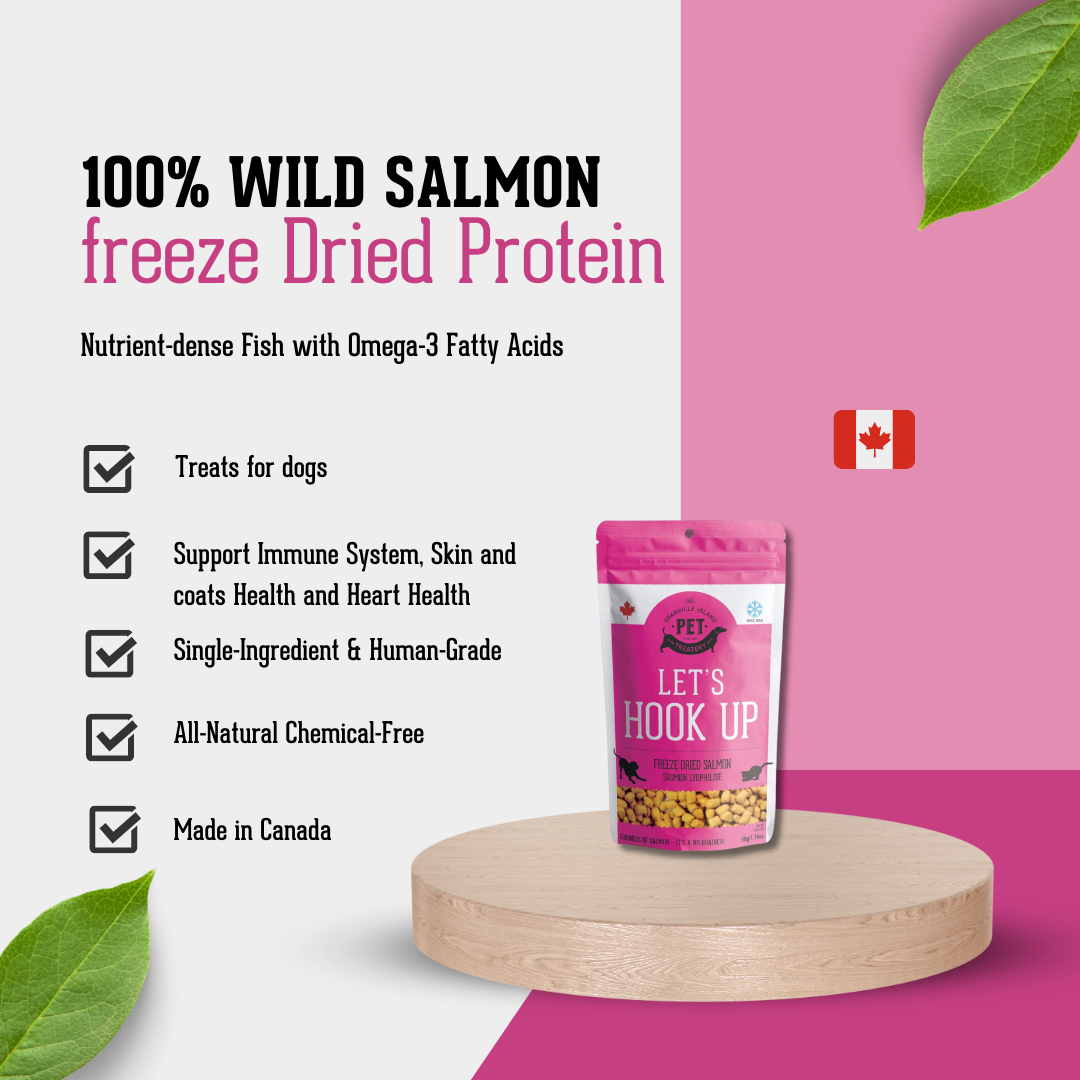 Freeze Dried Wild Salmon Treat For Dogs 50g
