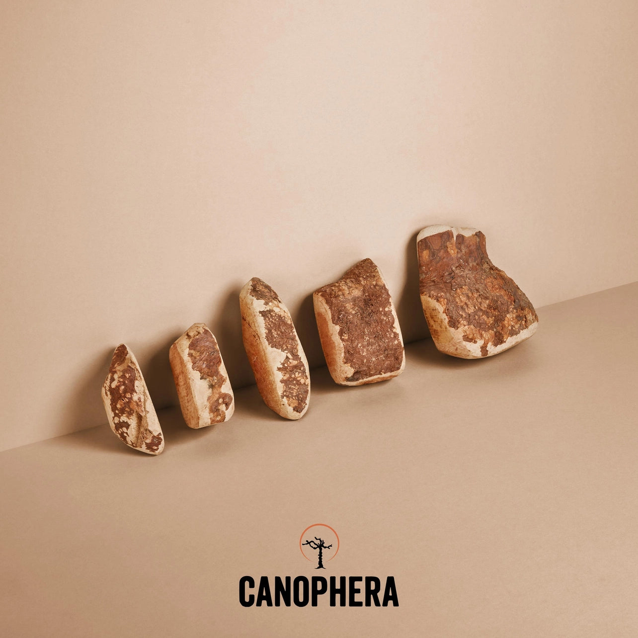 CANOPHERA Briar Root Dog Chews