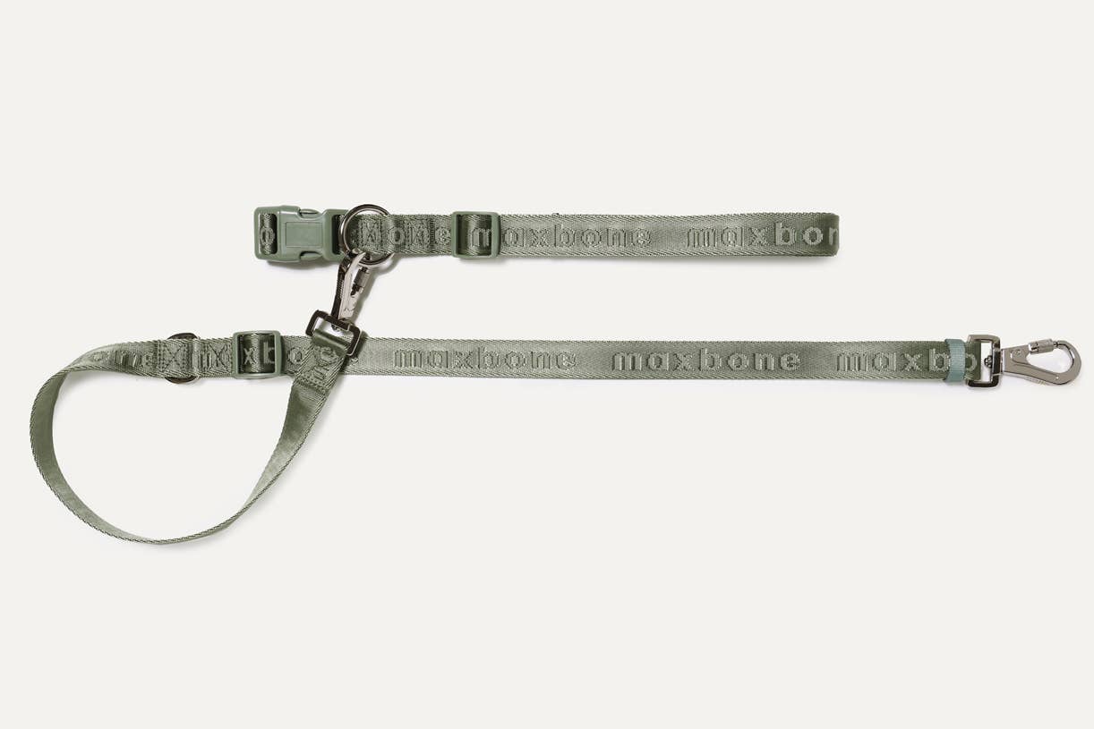 Go With Ease! Hands Free Dog Leash: Peach