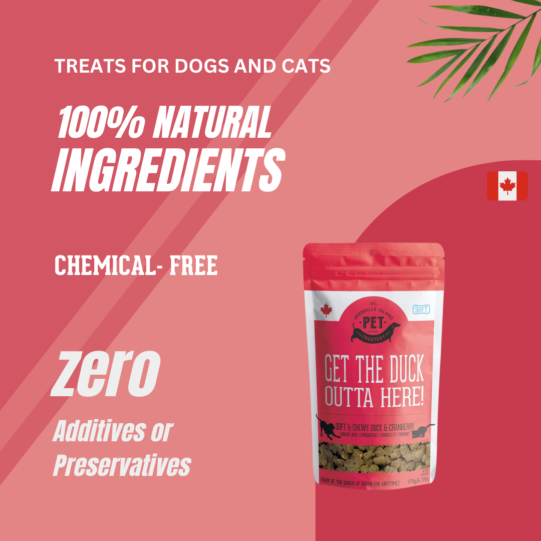 Soft & Chewy Duck & Cranberry Treat For Dogs & Cats 175g