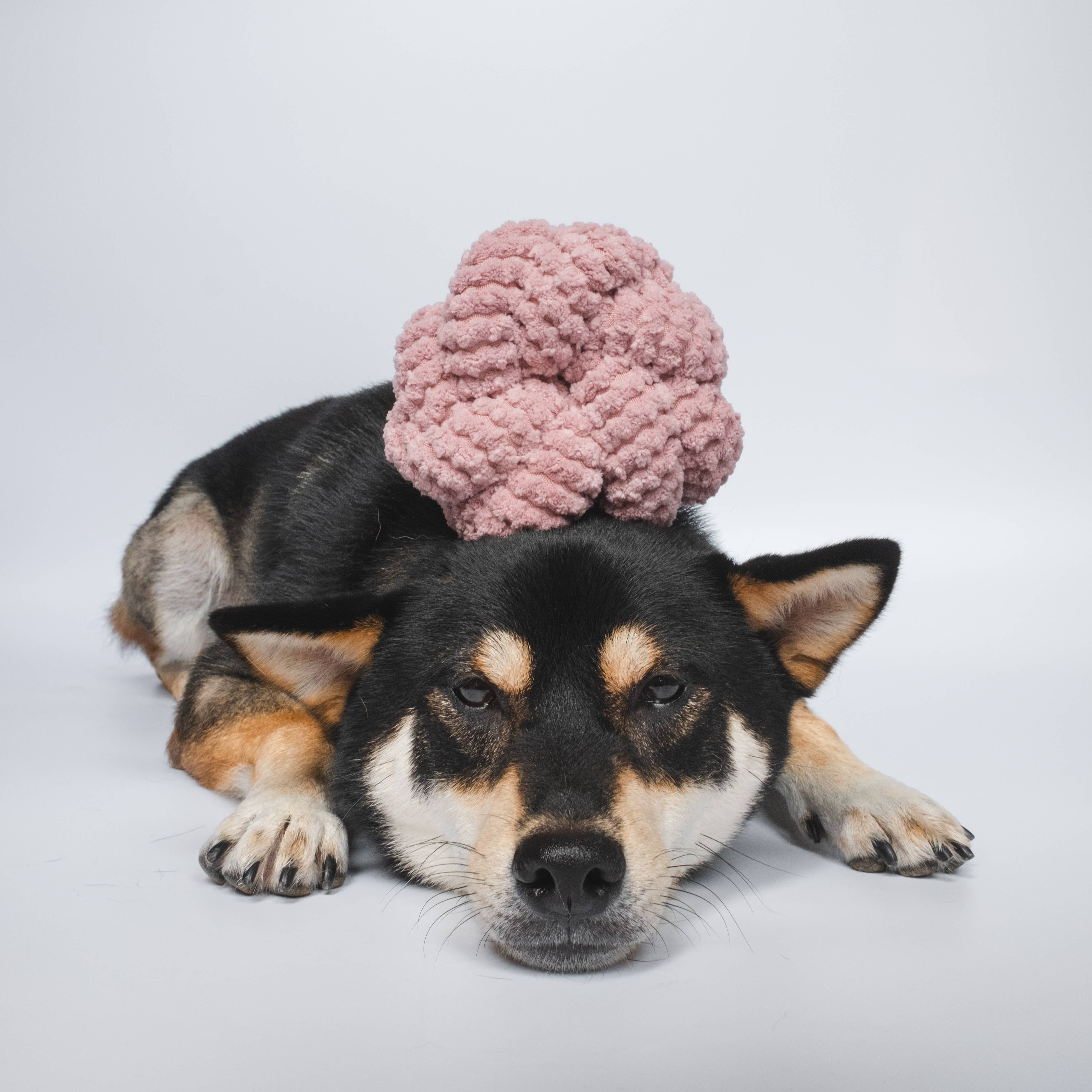 NOUNOUNOU | rose//ENRICHMENT DOG TOY