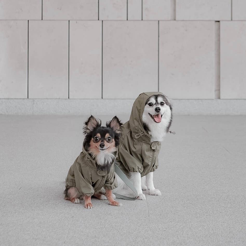 BROOKLYN//DOG CLOTHING//APPAREL: M / Fern