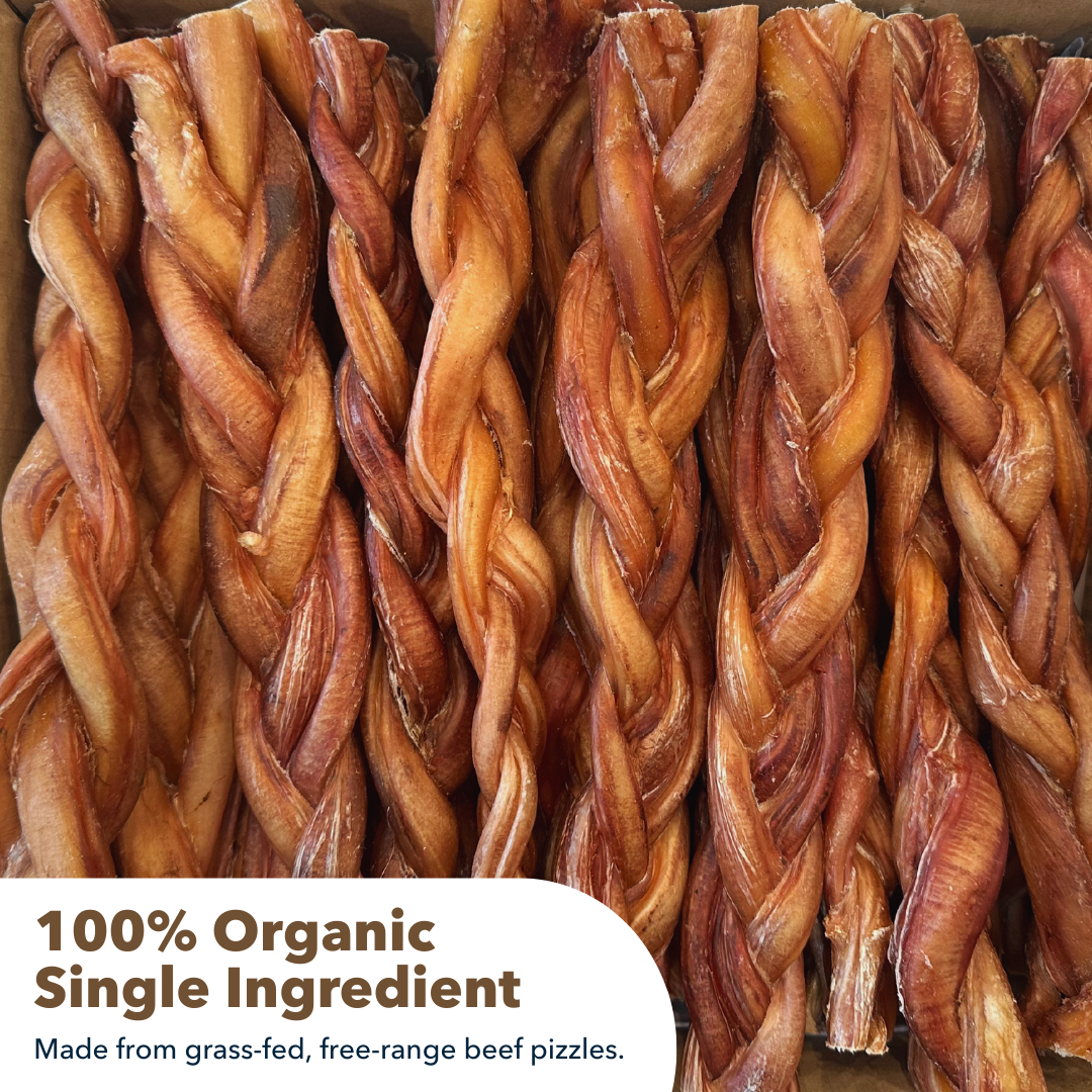 Mighty Chewz - 12" MONSTER Braided Bully Sticks.