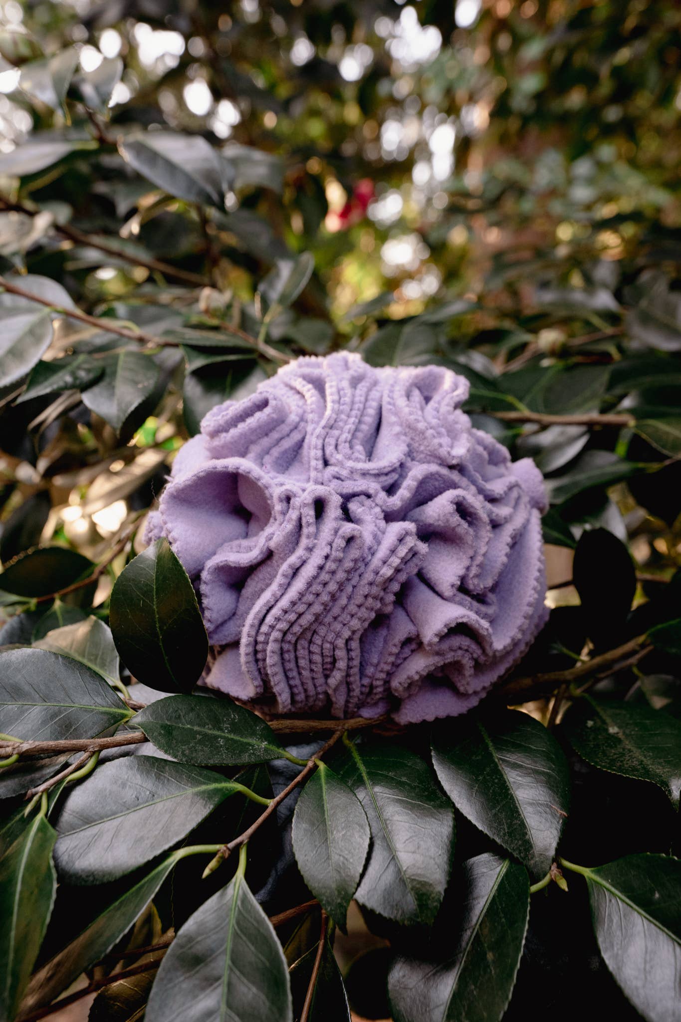 Love Liparu - Snuffle Ball