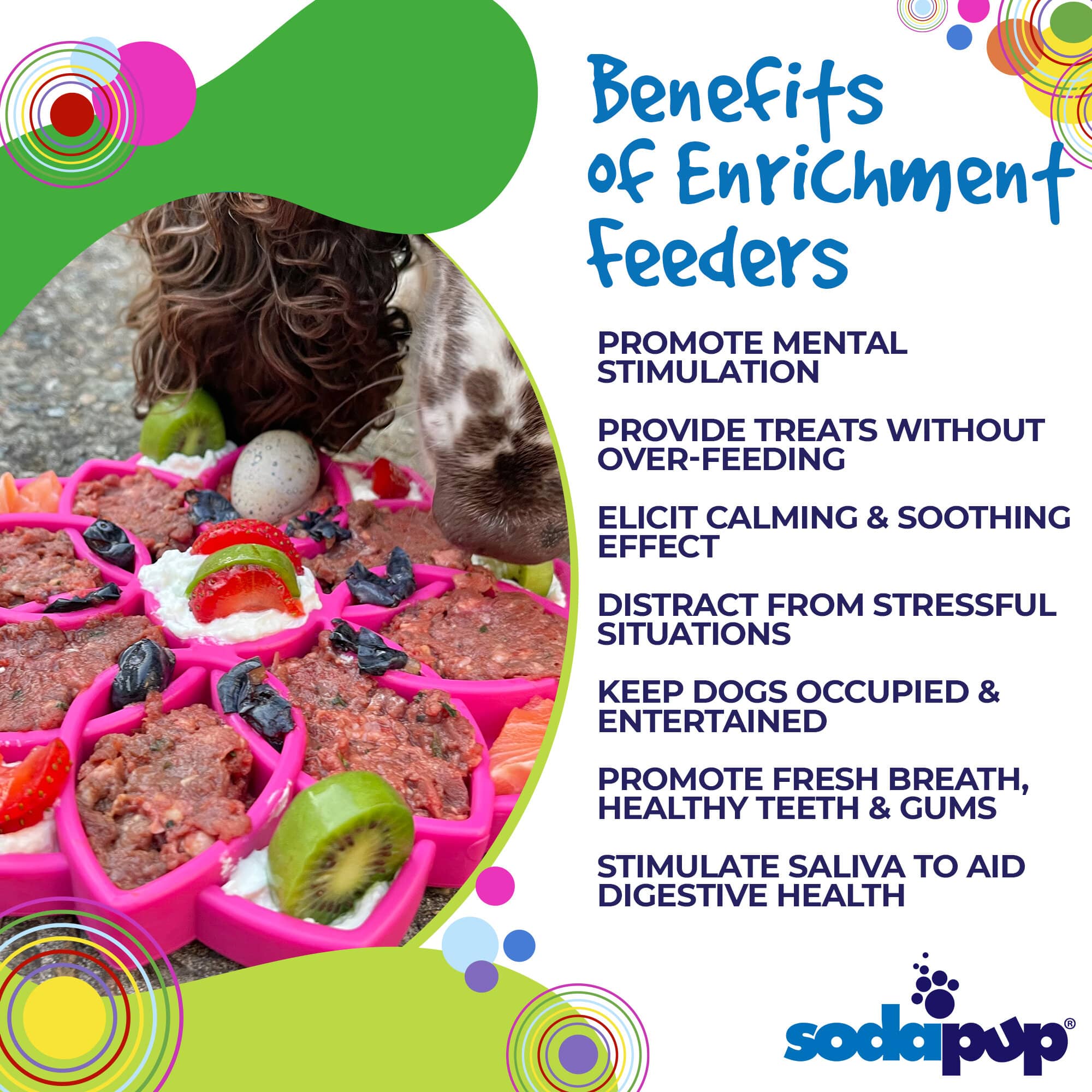 Mandala Design eTray Enrichment Tray for Dogs: Yellow