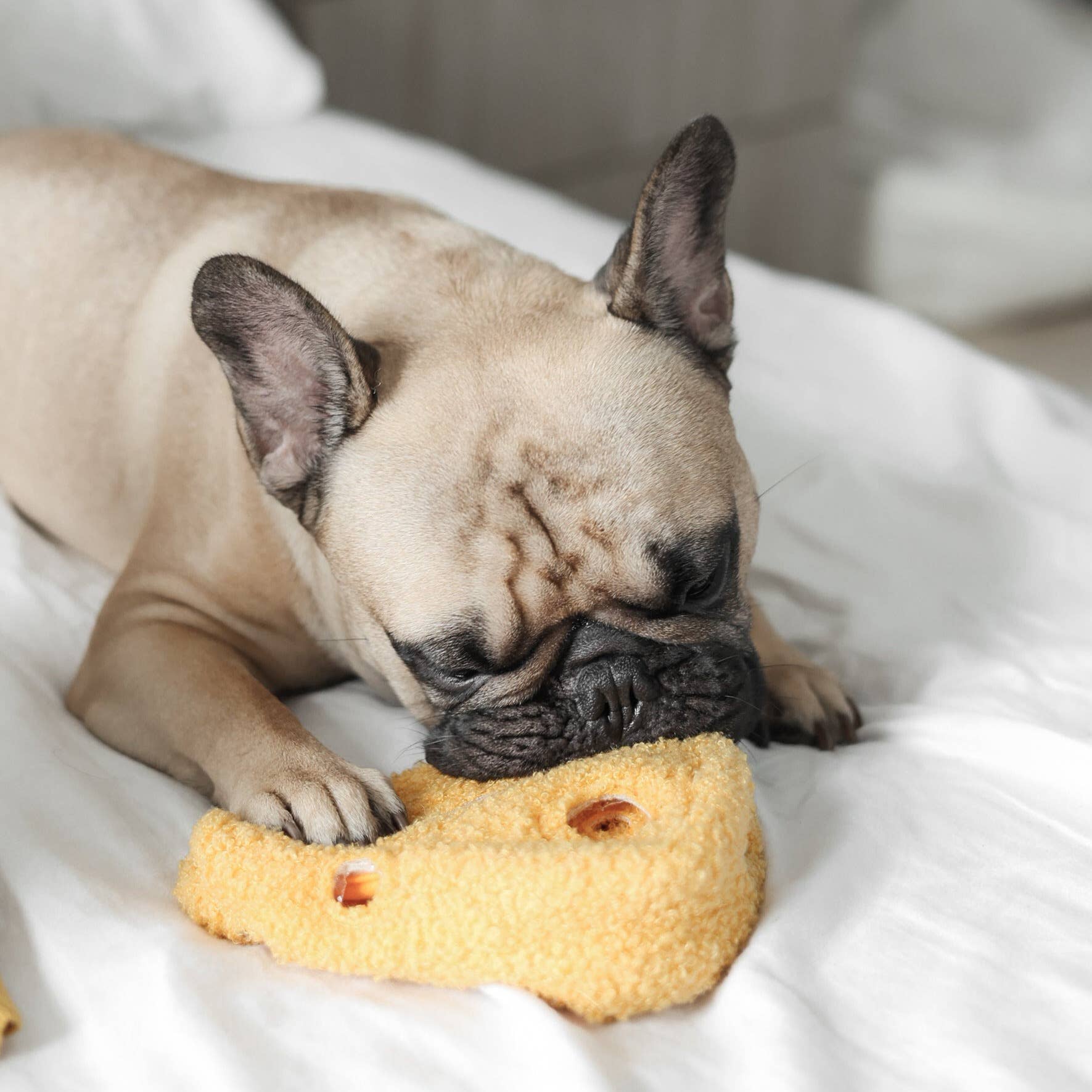 Lambwolf Collective - FROMAGE//ENRICHMENT DOG TOY