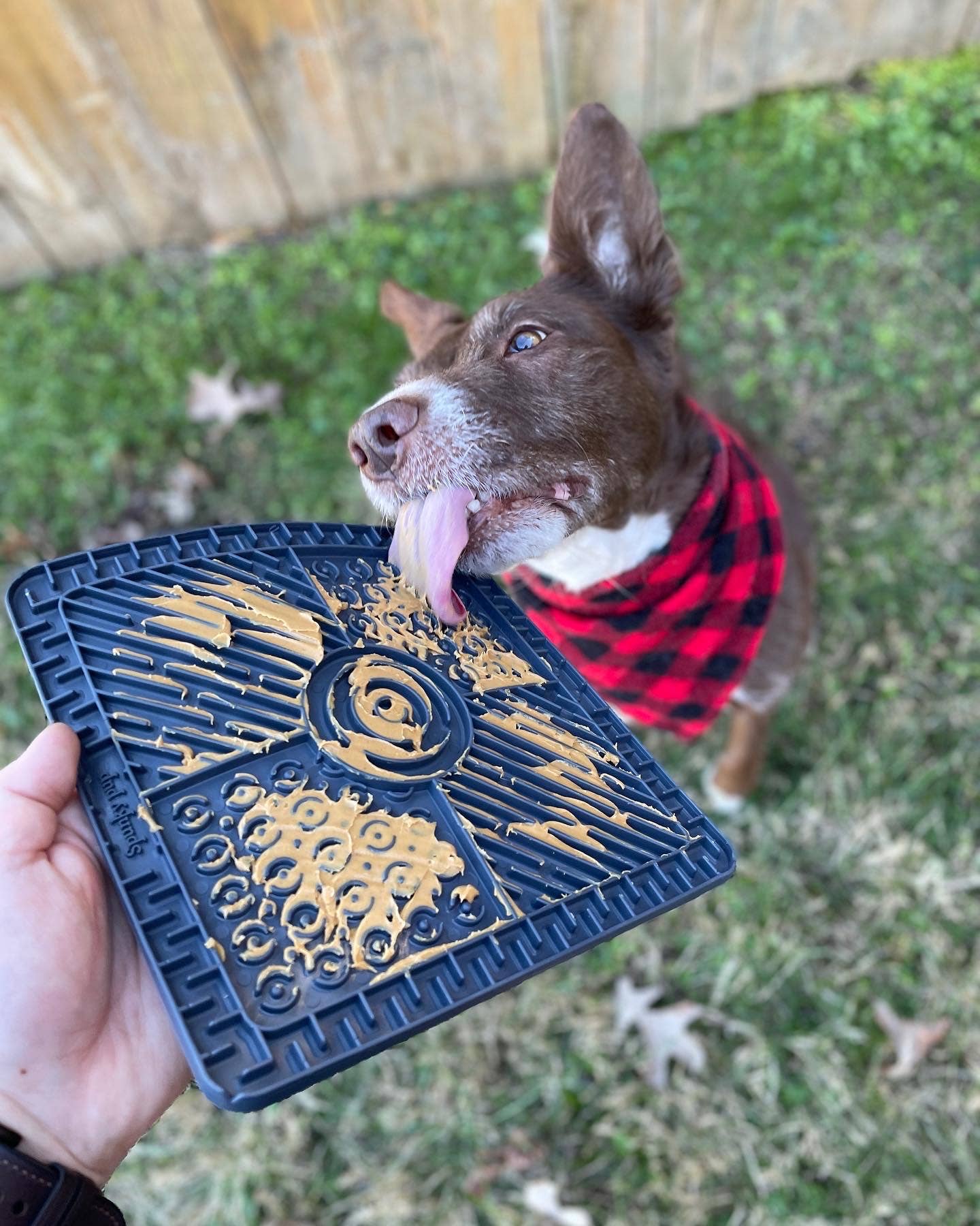 Spunky Pup - Lick Pads