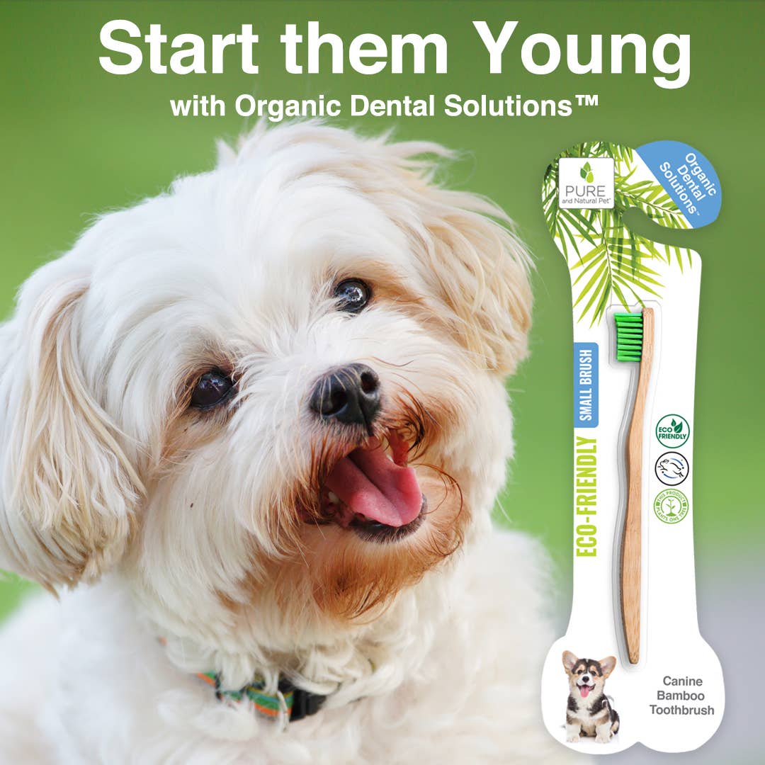Pure and Natural Pet - Bamboo Toothbrush for Small Dogs - Organic Dental Solutions®