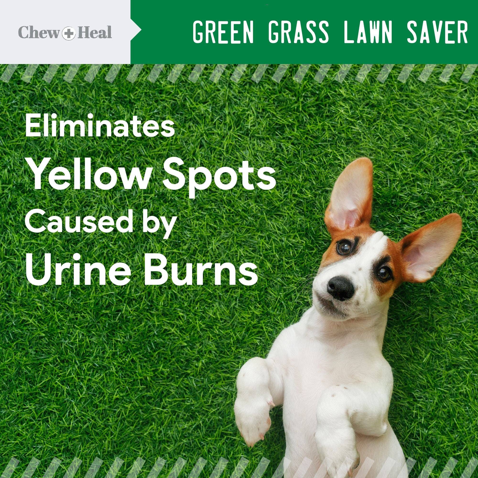 Chew + Heal - Chew + Heal Grass Saver Chews For Dogs| Dog Urine Grass Saver| 120 Soft Chews