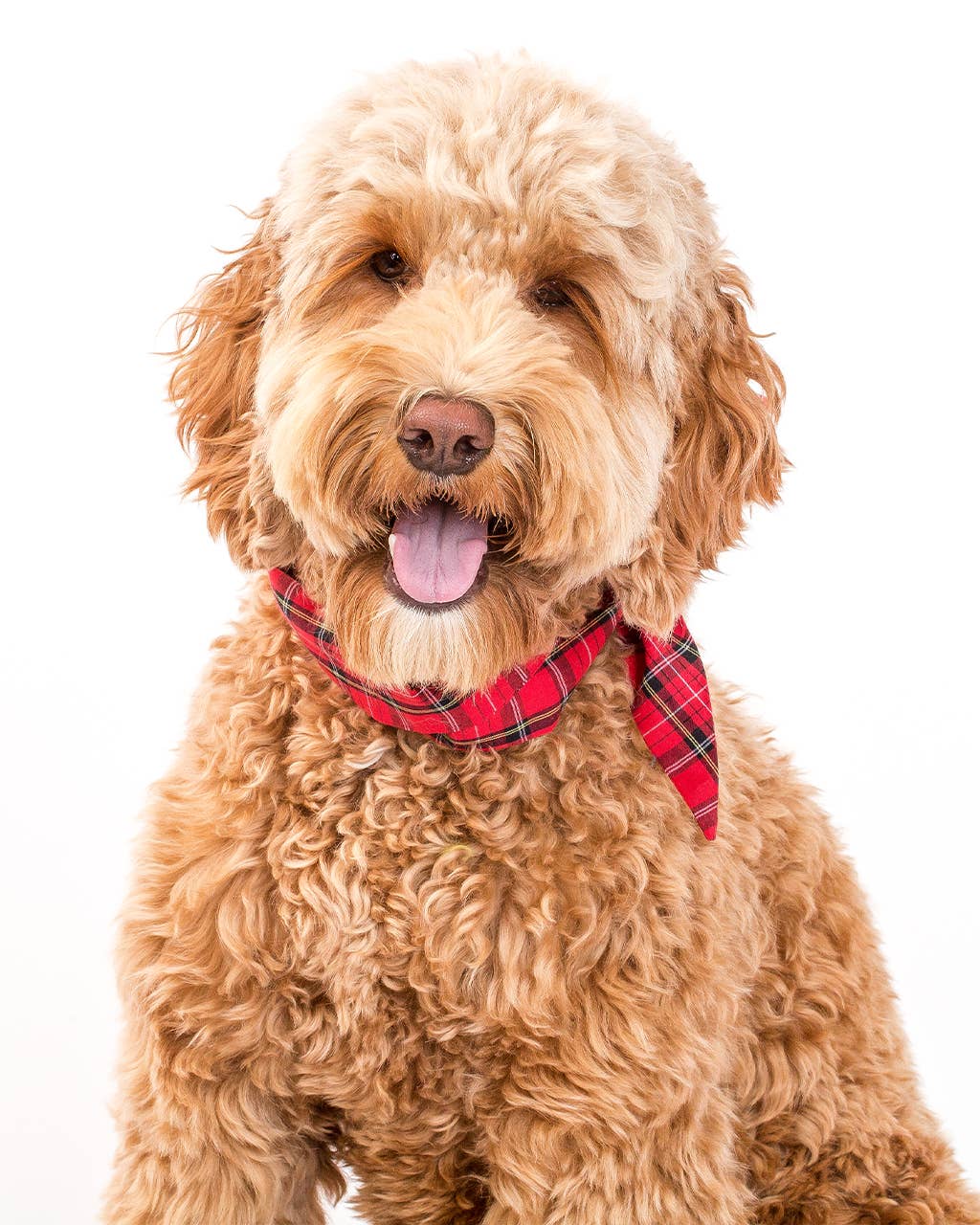 WINTER NECKTIE: VINTAGE PLAID