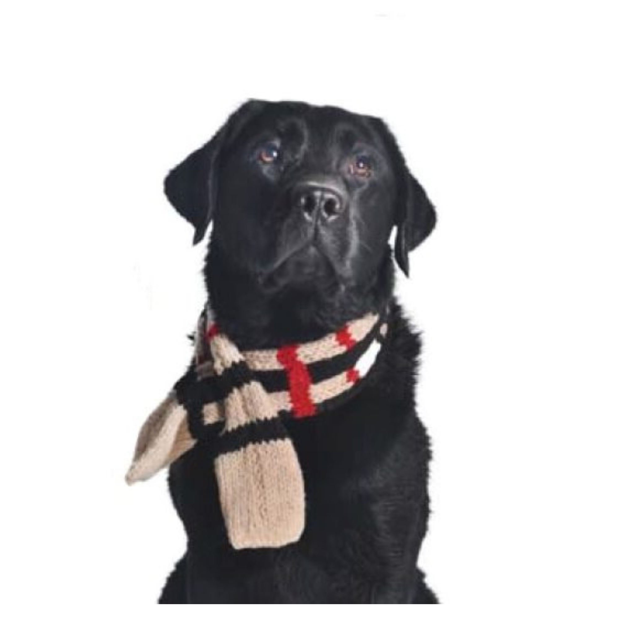 Tan Plaid Pet Scarf