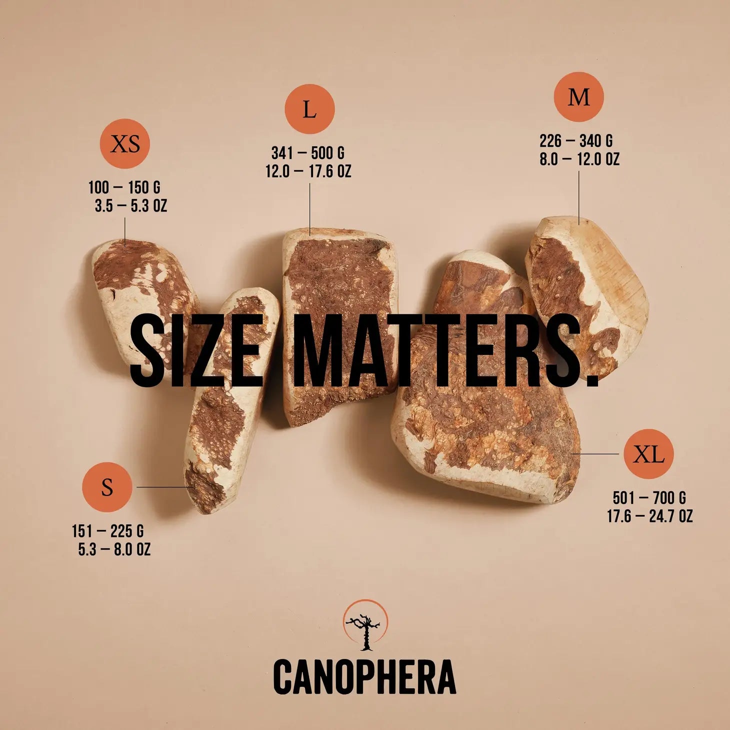 CANOPHERA Briar Root Dog Chews