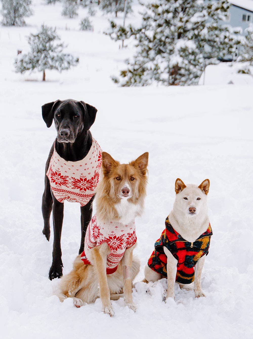 Good Thomas - Alpine Sherpa Vest