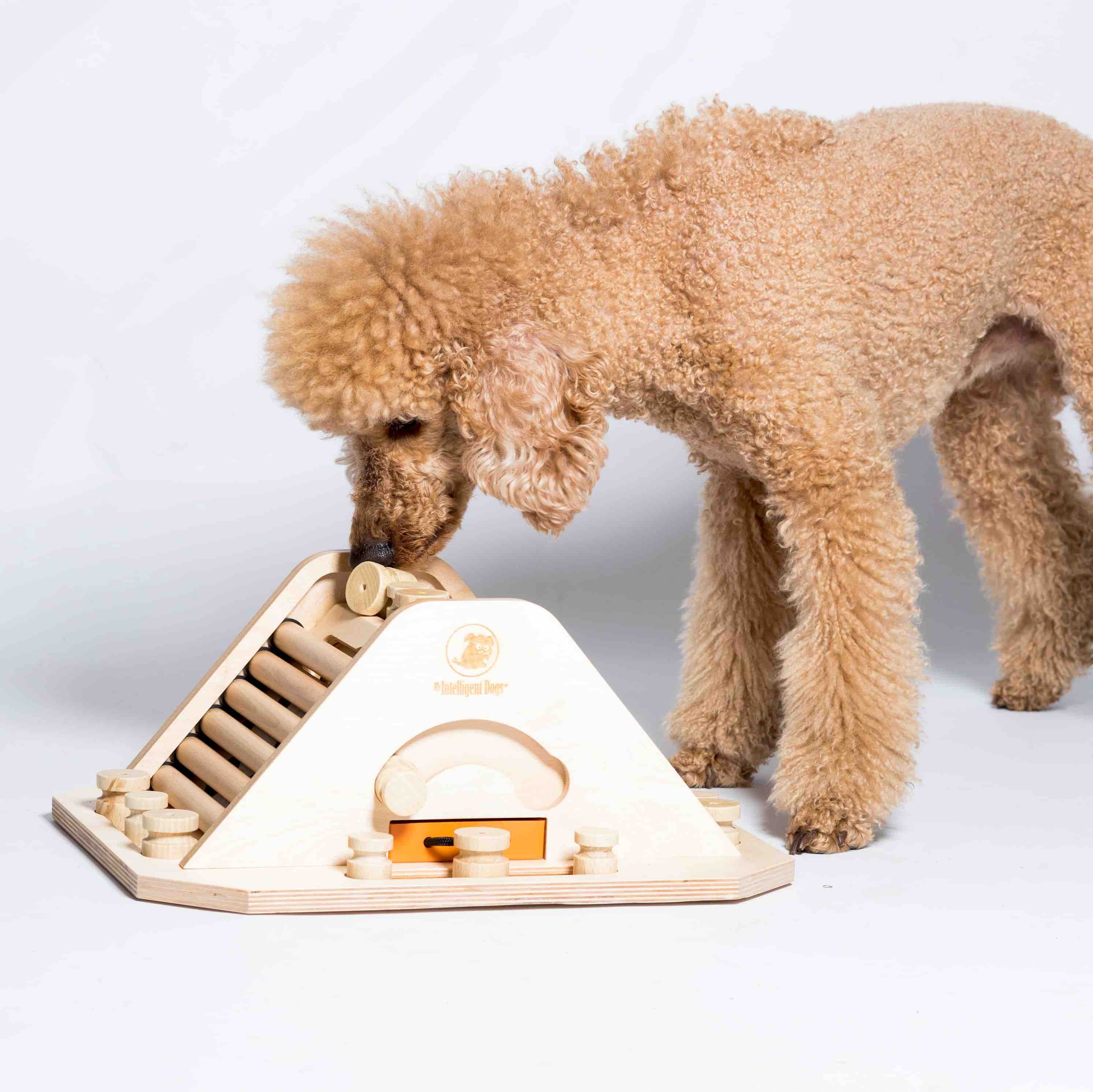 My Intelligent Pets - Pyramid - Challenging and Stimulating Dog Toy
