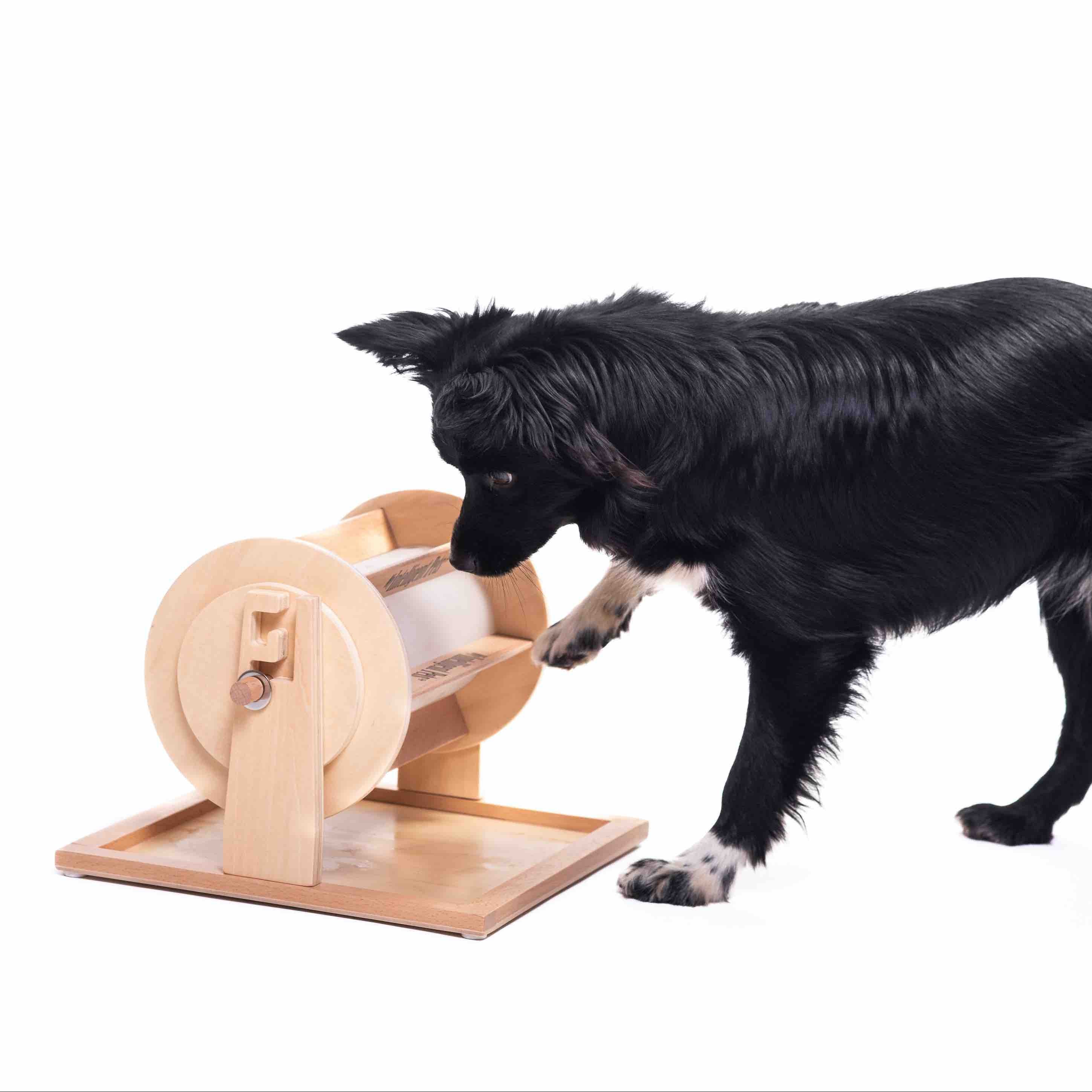 Dog interacting with a wooden, treat dispensing, puzzle toy on a white background.