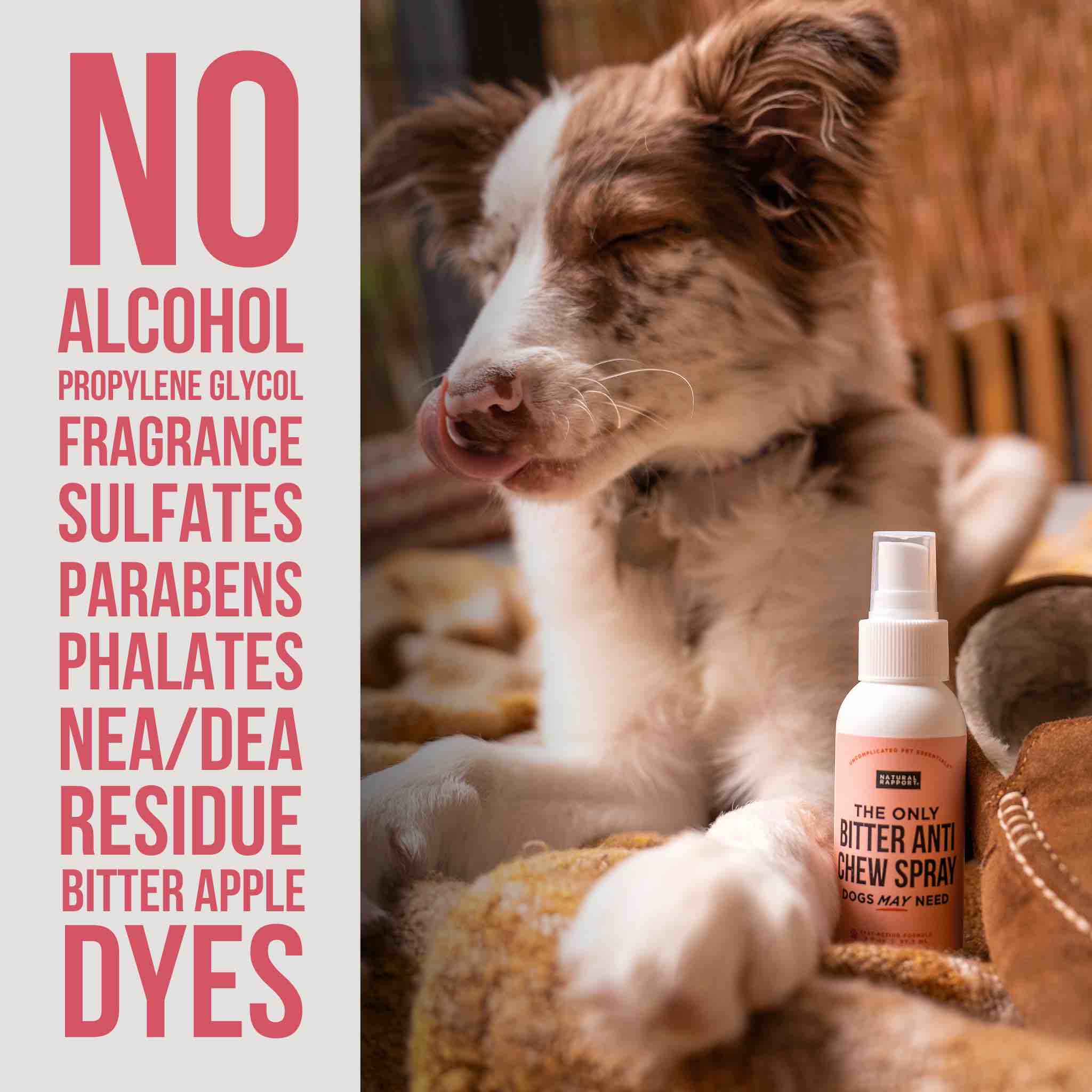 Dog with a bottle of bitter anti chew spray next to a list of ingredients not used in the product.