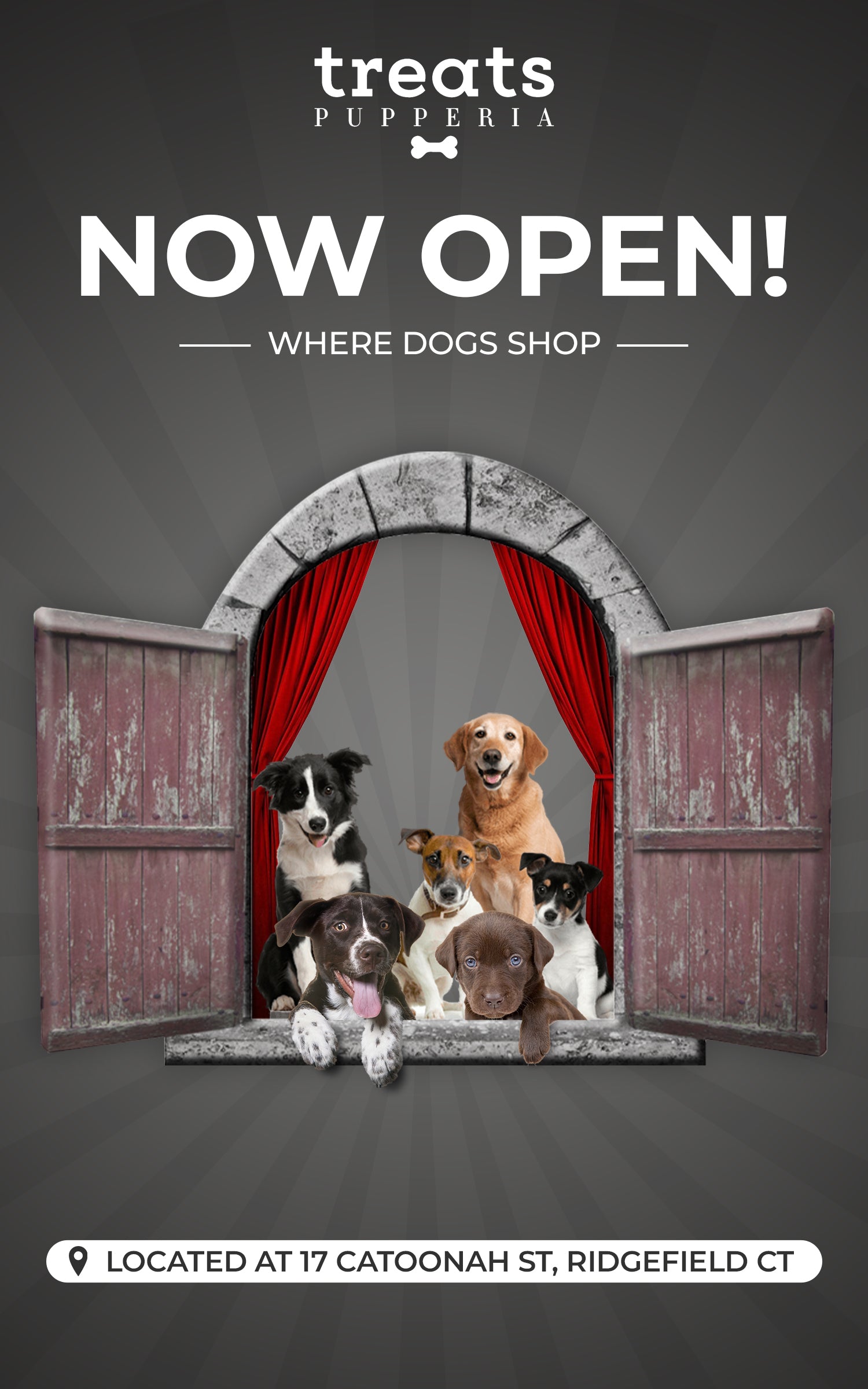 Treats Dog Company Gift Card