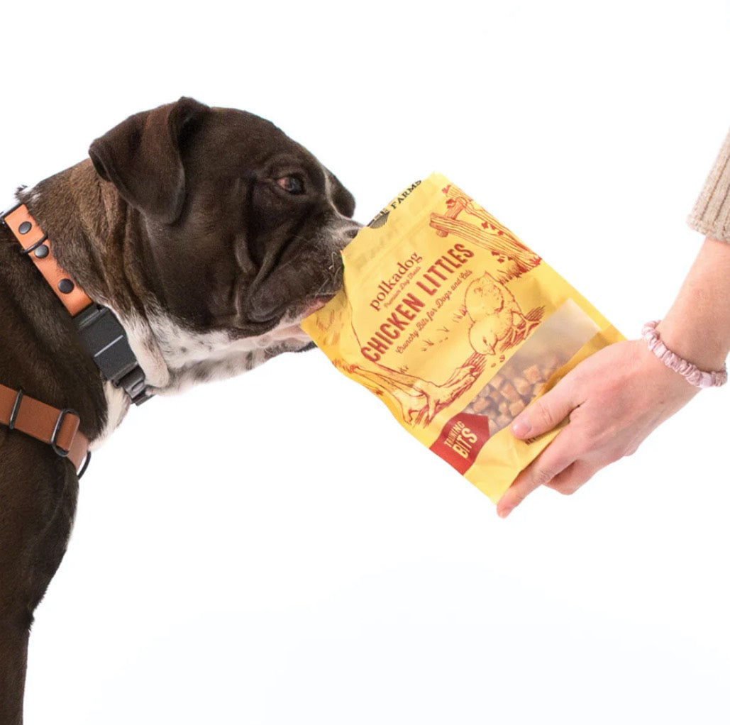 Dog sniffing a package of Chicken Littles dog treats held by a person on a white background