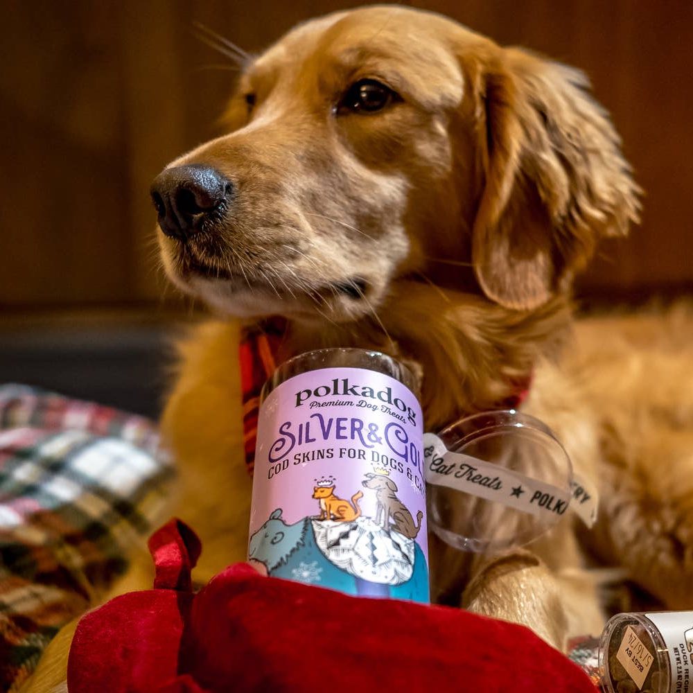 Dog holding a tube of Polkadog cod skin treats on a red blanket and blurred background