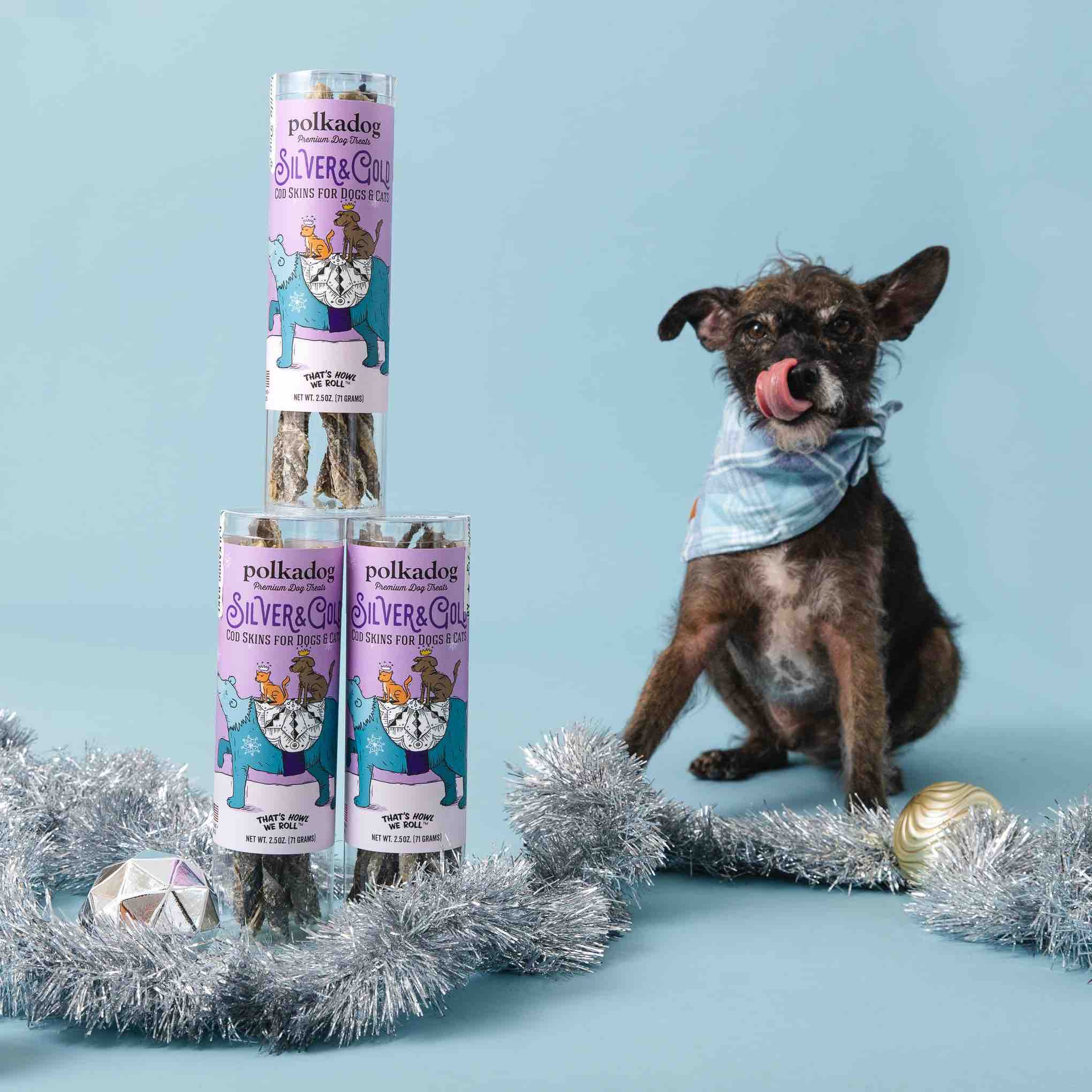 Dog sitting with three 'Polkadog' Silver & gold cod skin dog treats on a blue background.