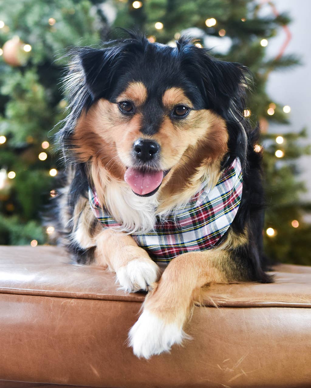 WINTER BANDANAS: VINTAGE PLAID